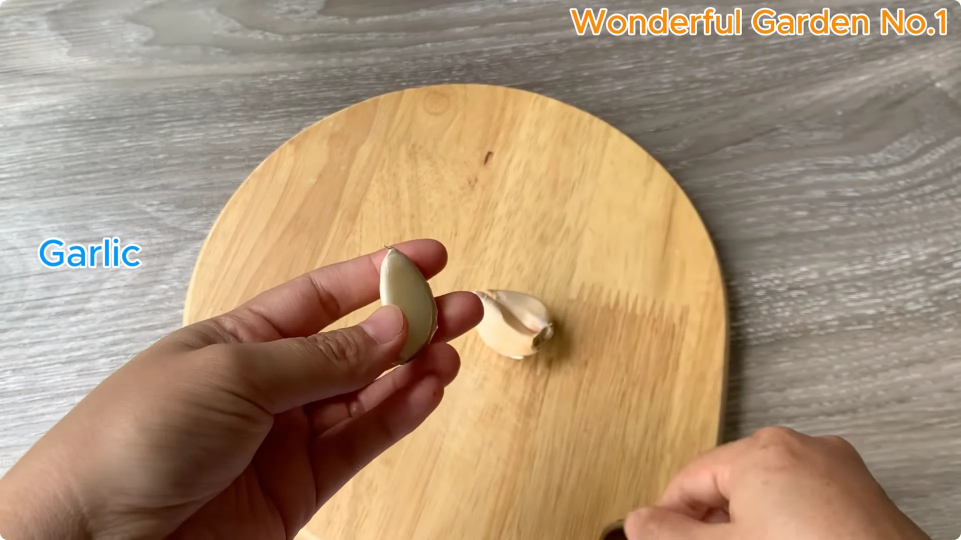 How to Grow 100 Rose Roots Overnight with One Simple Tip screenshot 1