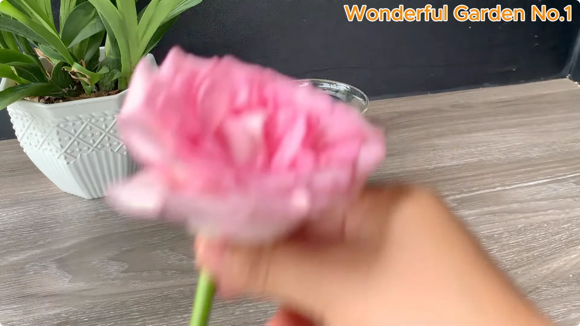 How to Grow 100 Rose Roots Overnight with One Simple Tip screenshot 11