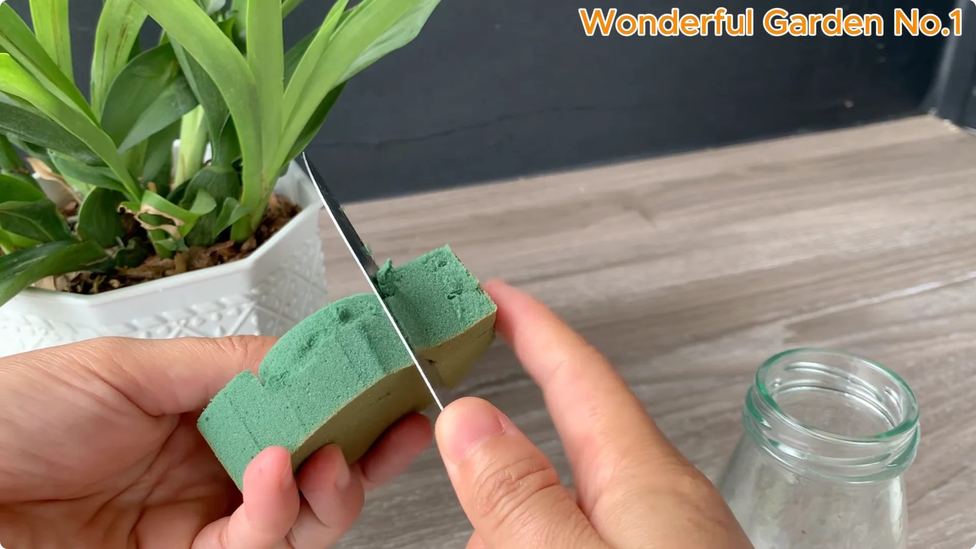 How to Grow 100 Rose Roots Overnight with One Simple Tip screenshot 13