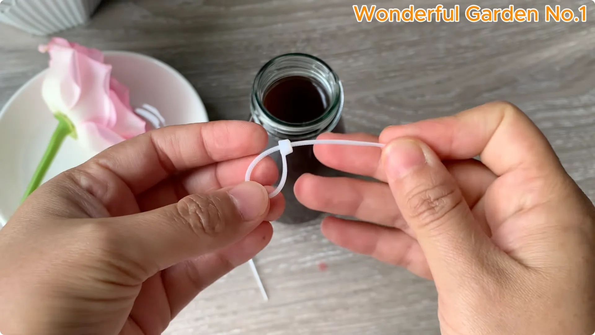 How to Grow 100 Rose Roots Overnight with One Simple Tip screenshot 14