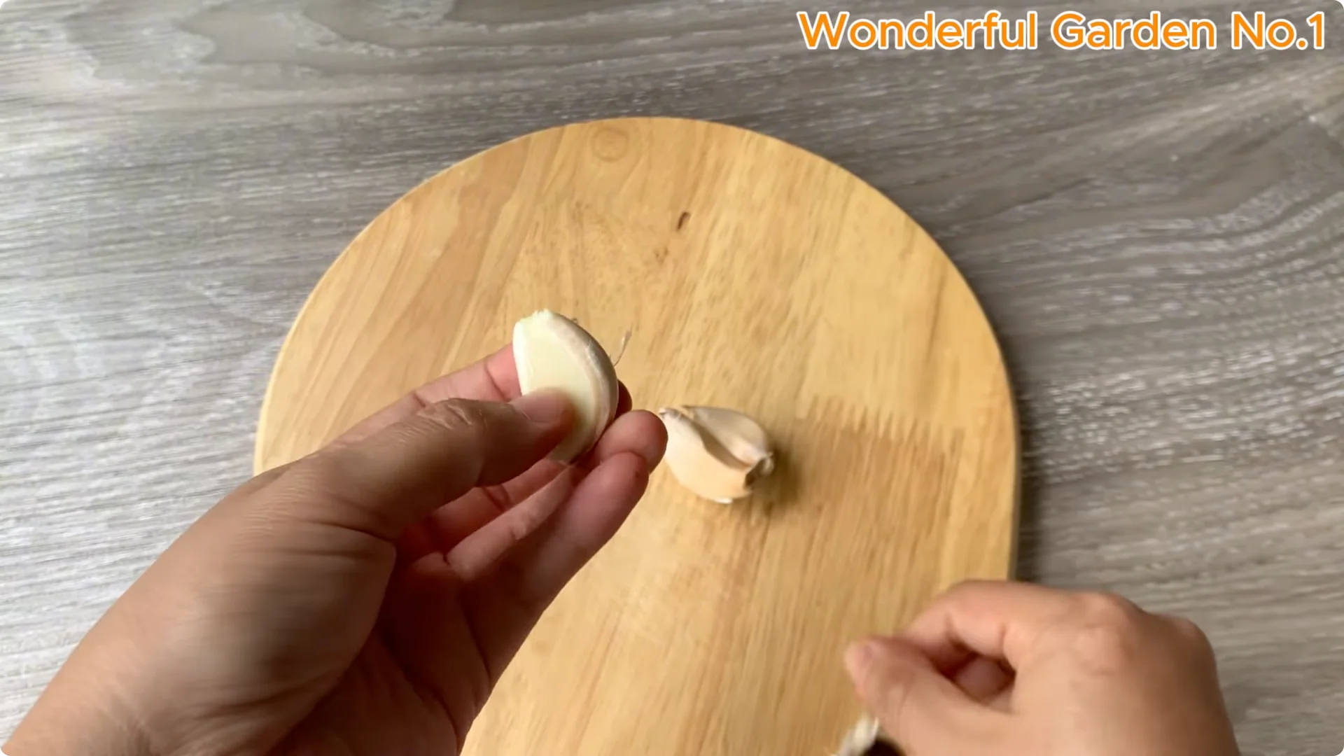 How to Grow 100 Rose Roots Overnight with One Simple Tip screenshot 2