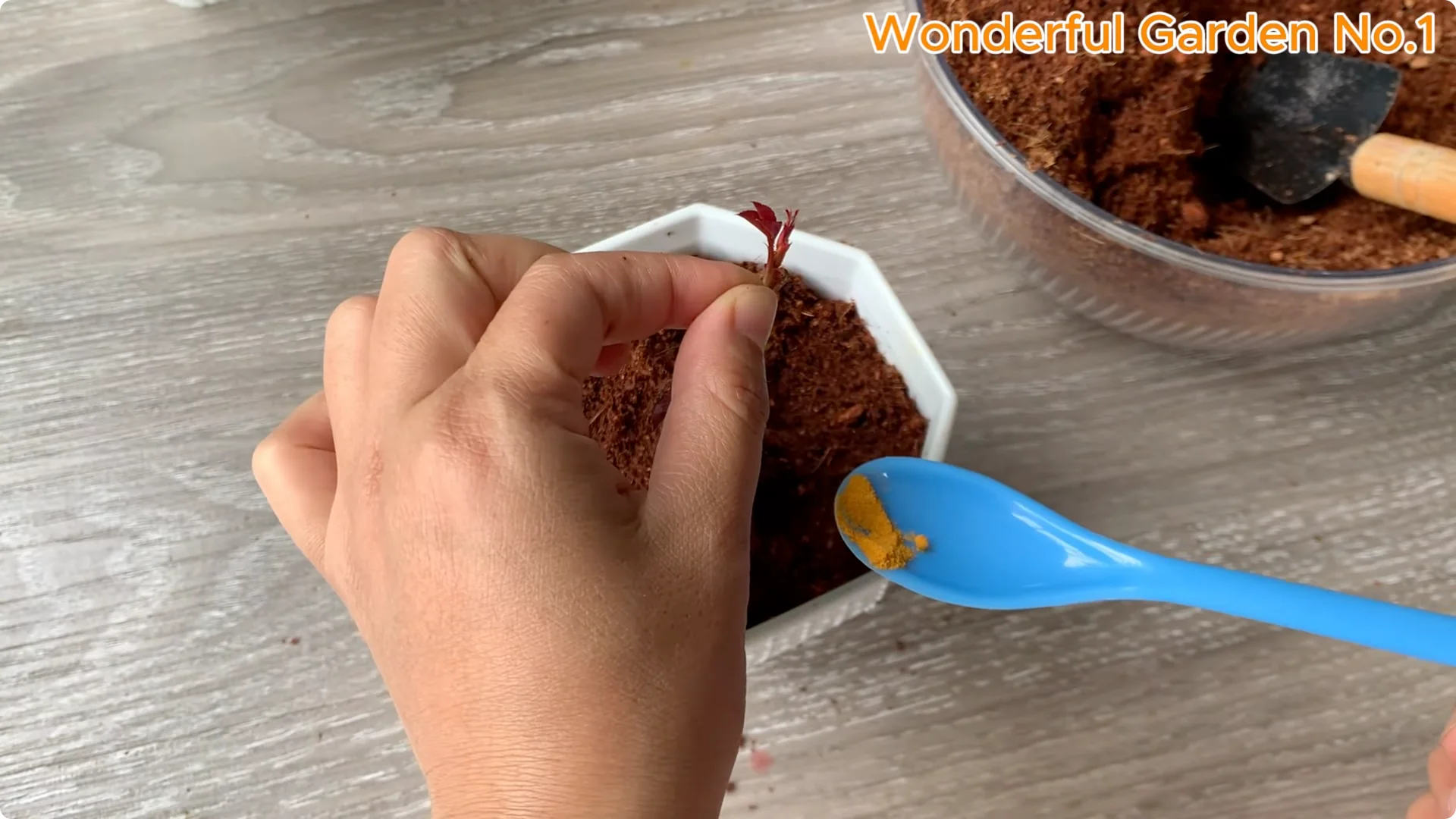 How to Grow 100 Rose Roots Overnight with One Simple Tip screenshot 25