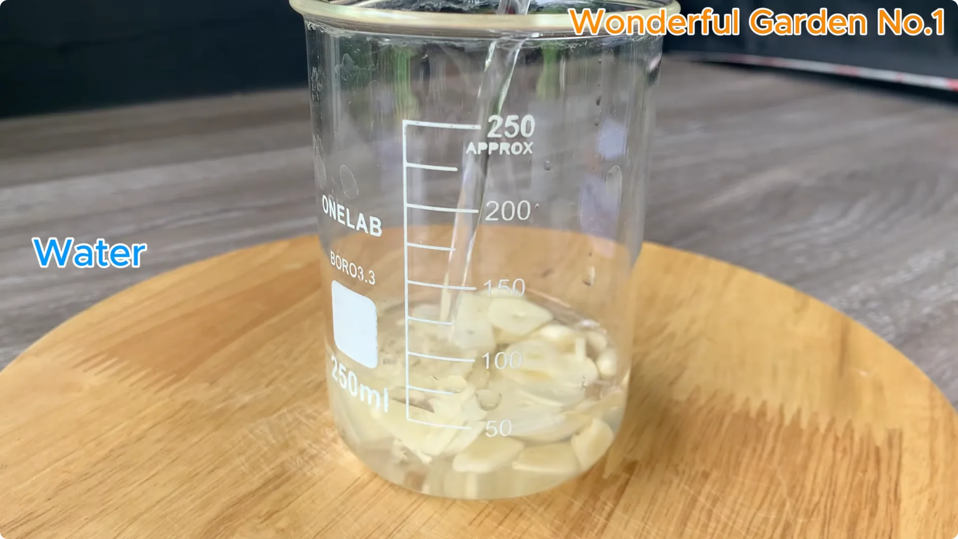 How to Grow 100 Rose Roots Overnight with One Simple Tip screenshot 3