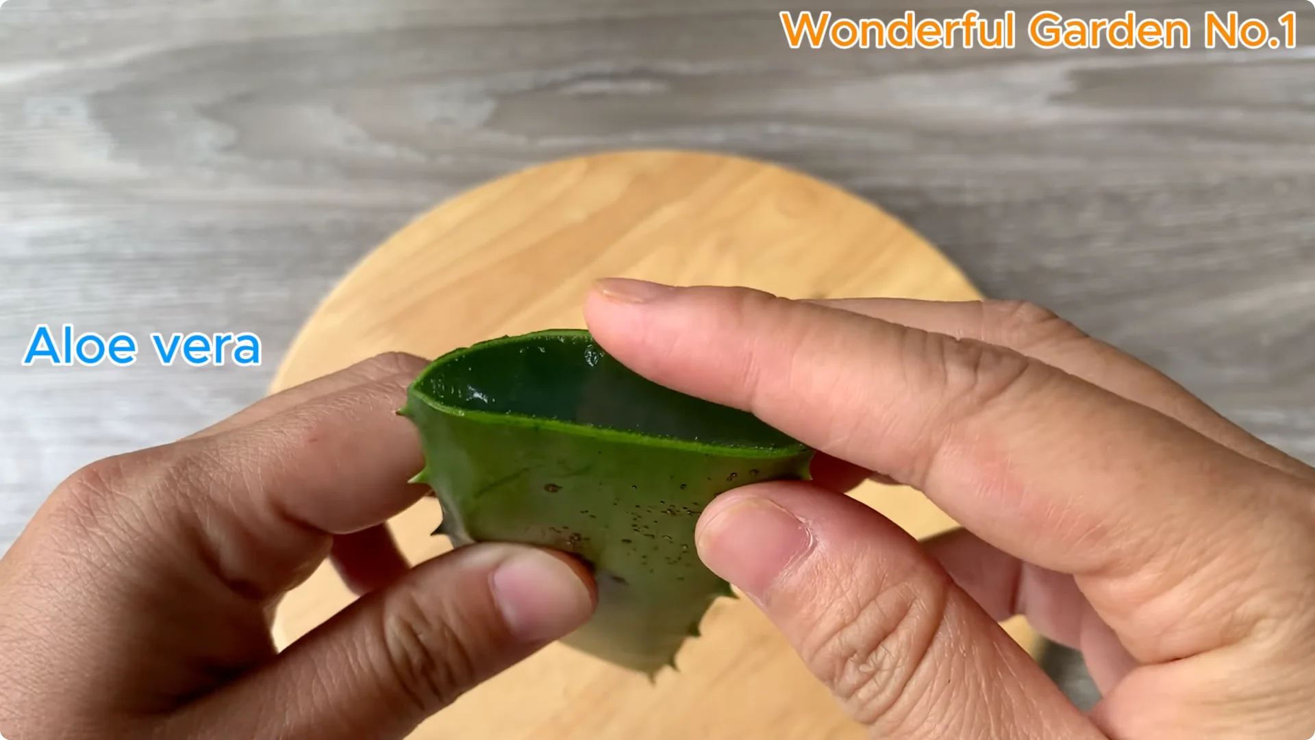 How to Grow 100 Rose Roots Overnight with One Simple Tip screenshot 4