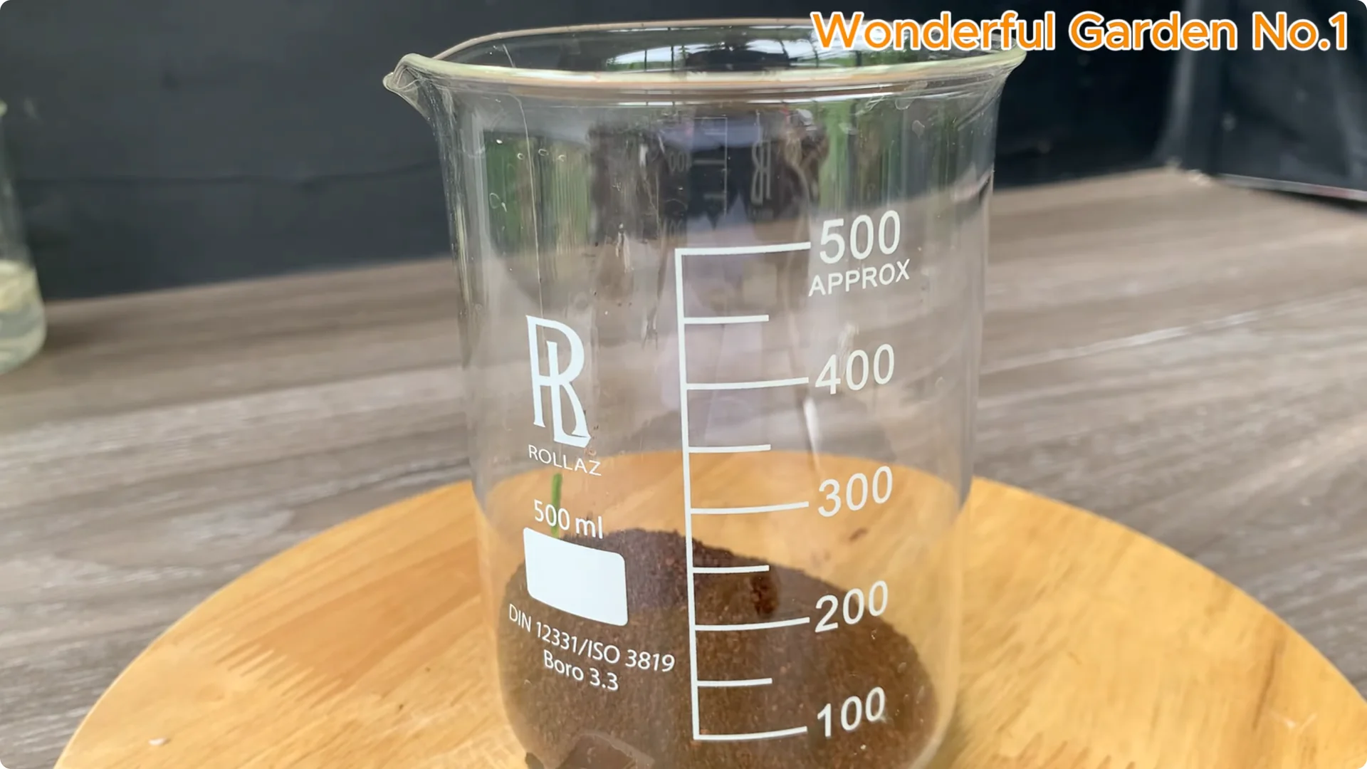 How to Grow 100 Rose Roots Overnight with One Simple Tip screenshot 5