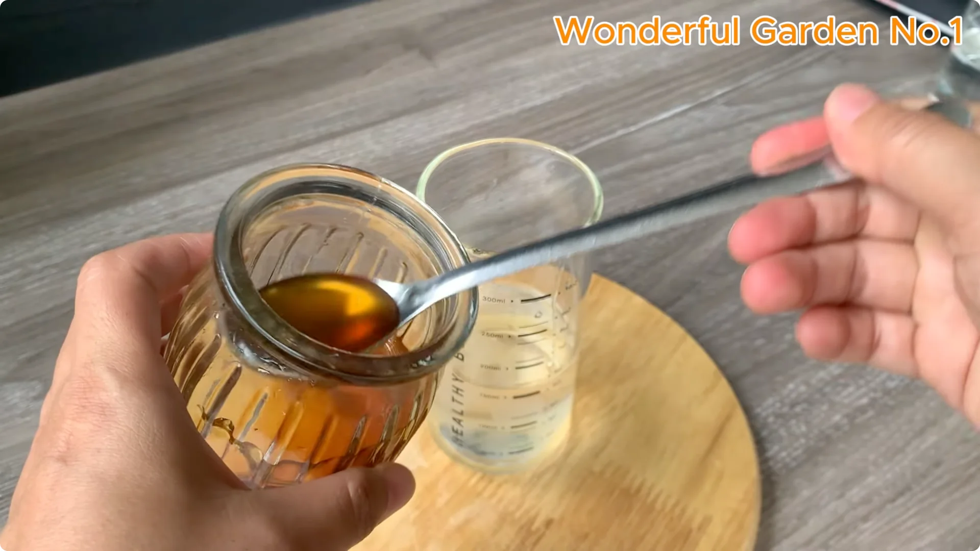 How to Grow 777 Rose Roots Without Soil Using This Method screenshot 10