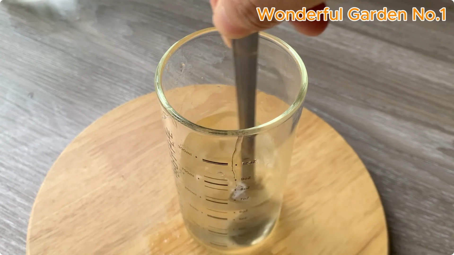 How to Grow 777 Rose Roots Without Soil Using This Method screenshot 11