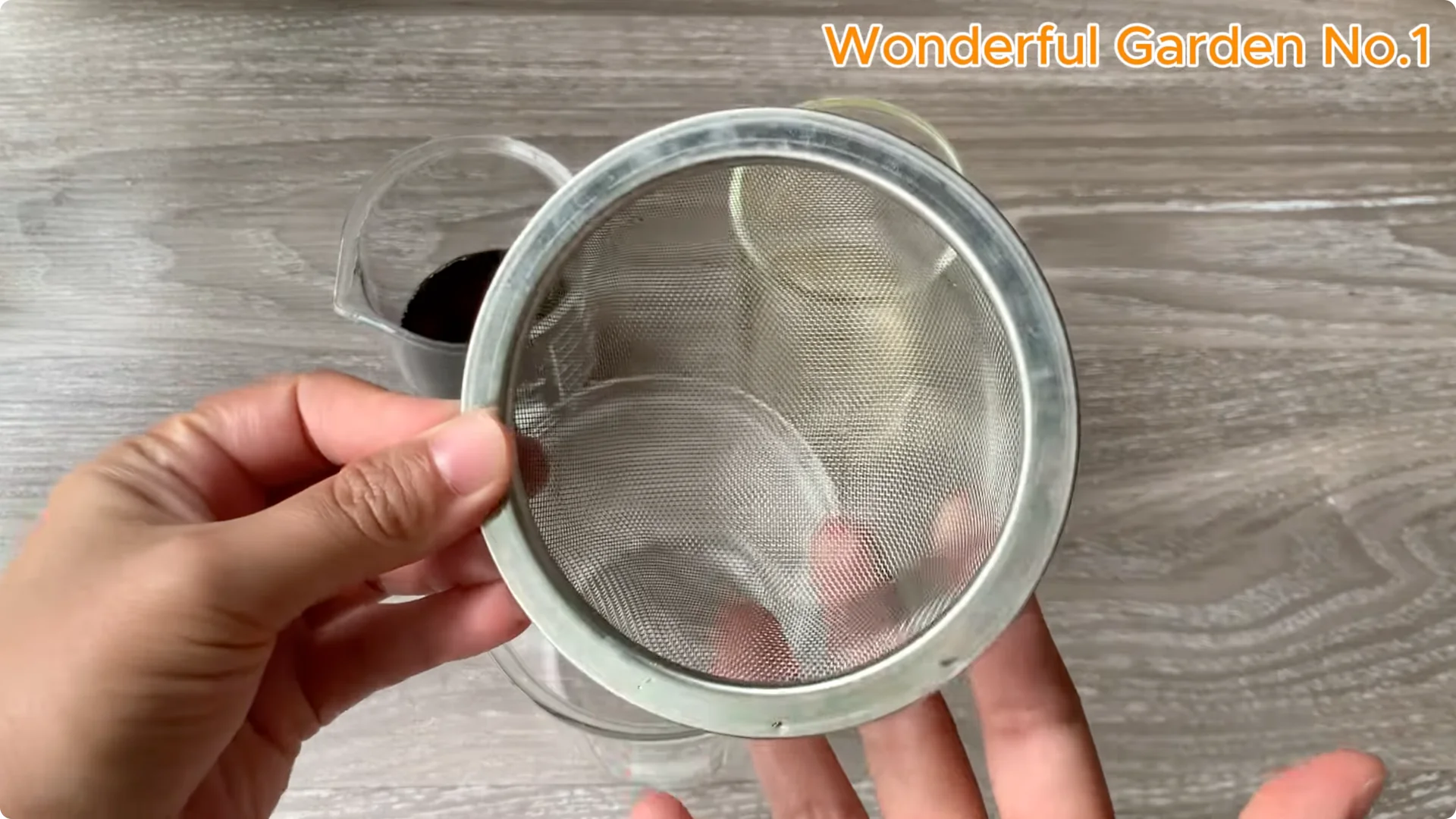 How to Grow 777 Rose Roots Without Soil Using This Method screenshot 12