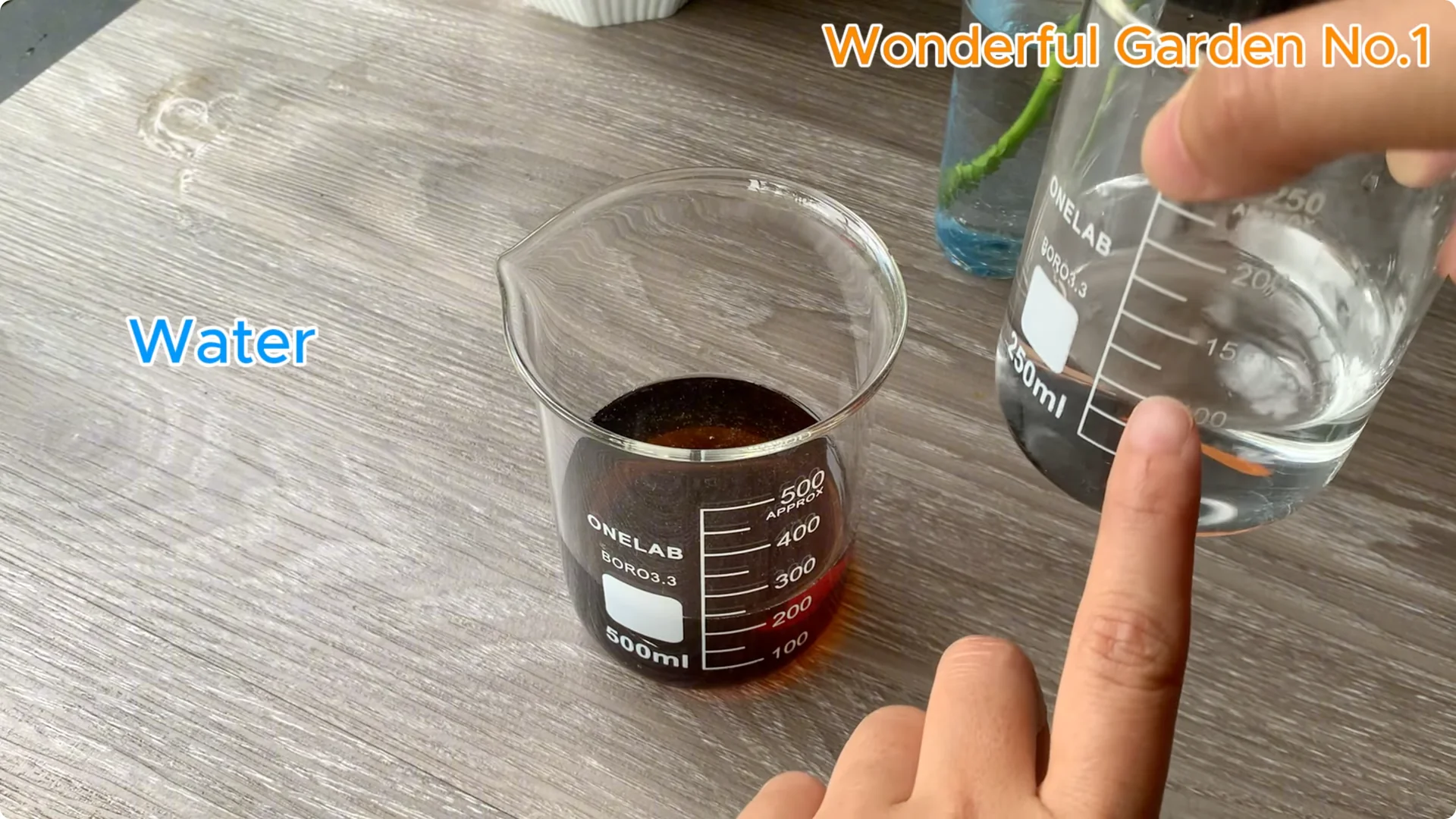 How to Grow 777 Rose Roots Without Soil Using This Method screenshot 13