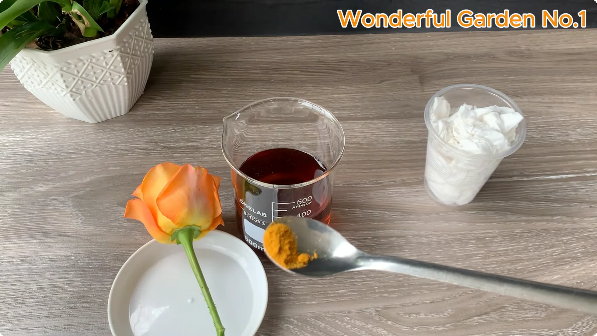 How to Grow 777 Rose Roots Without Soil Using This Method screenshot 18