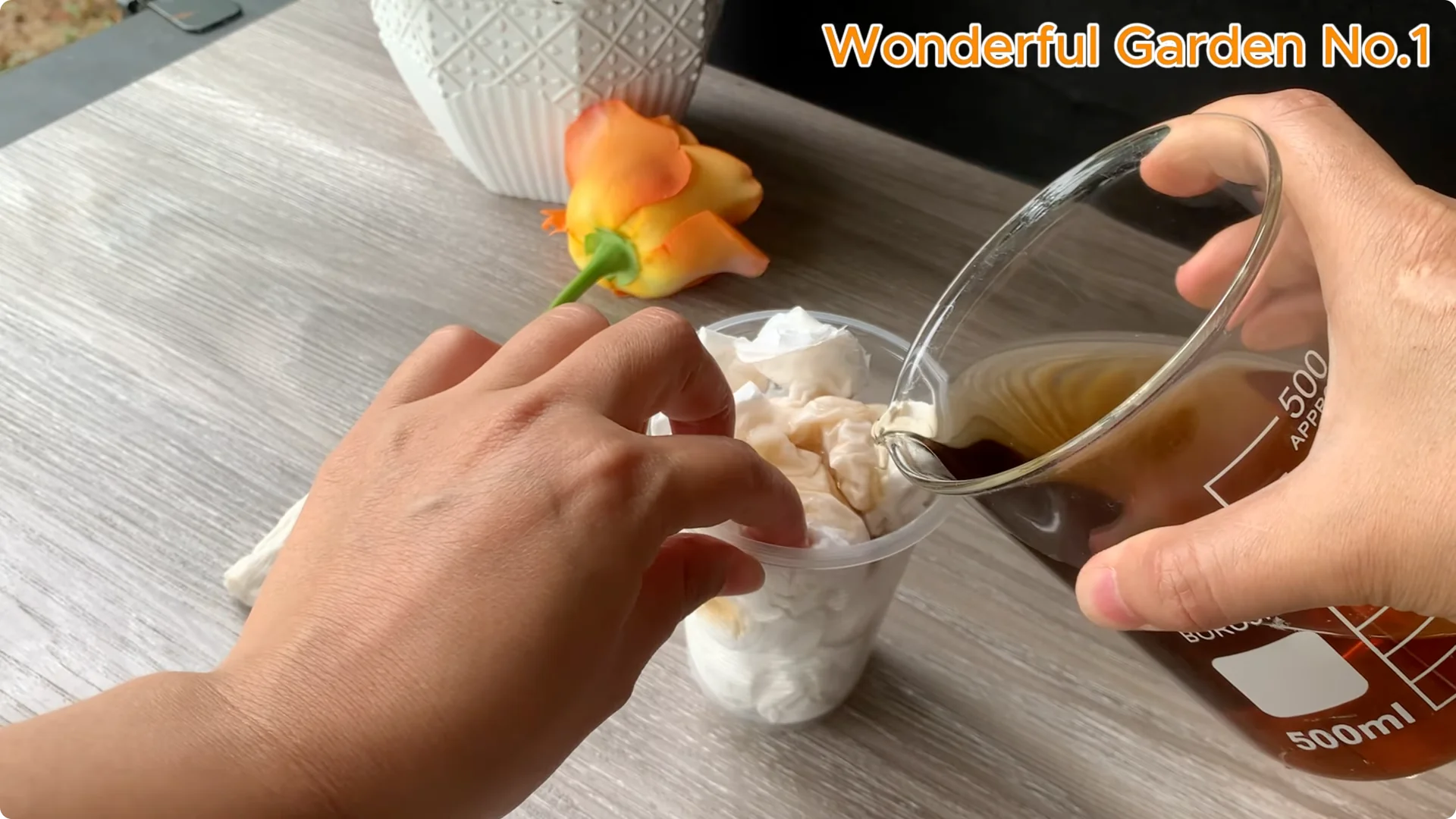 How to Grow 777 Rose Roots Without Soil Using This Method screenshot 20