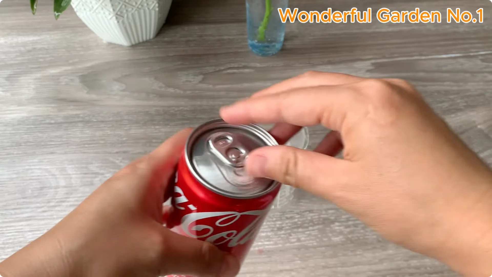 How to Grow 777 Rose Roots Without Soil Using This Method screenshot 7