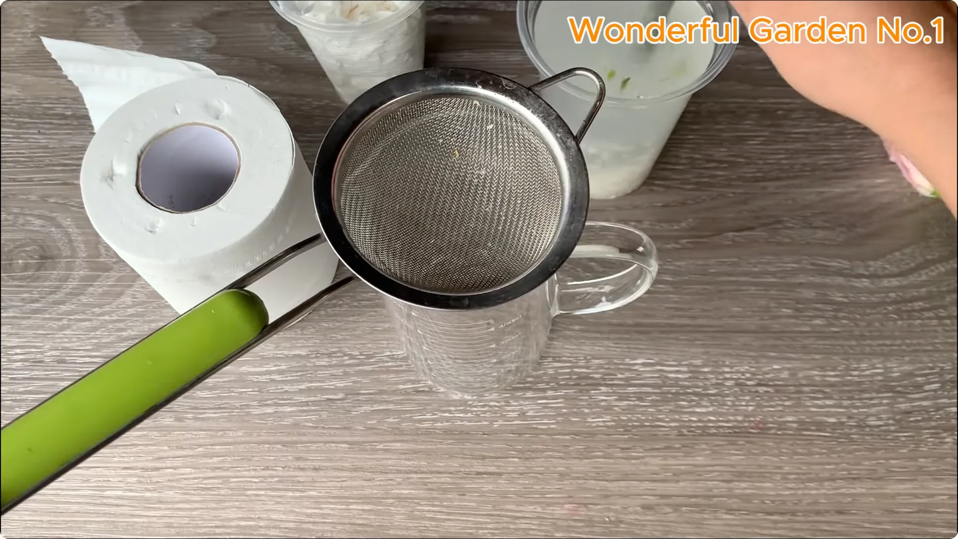 How to Propagate Roses at Home with Simple Steps screenshot 10