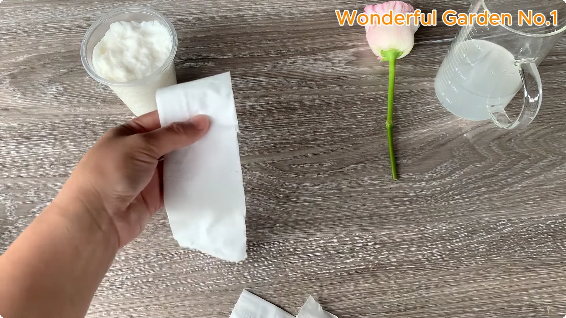 How to Propagate Roses at Home with Simple Steps screenshot 11