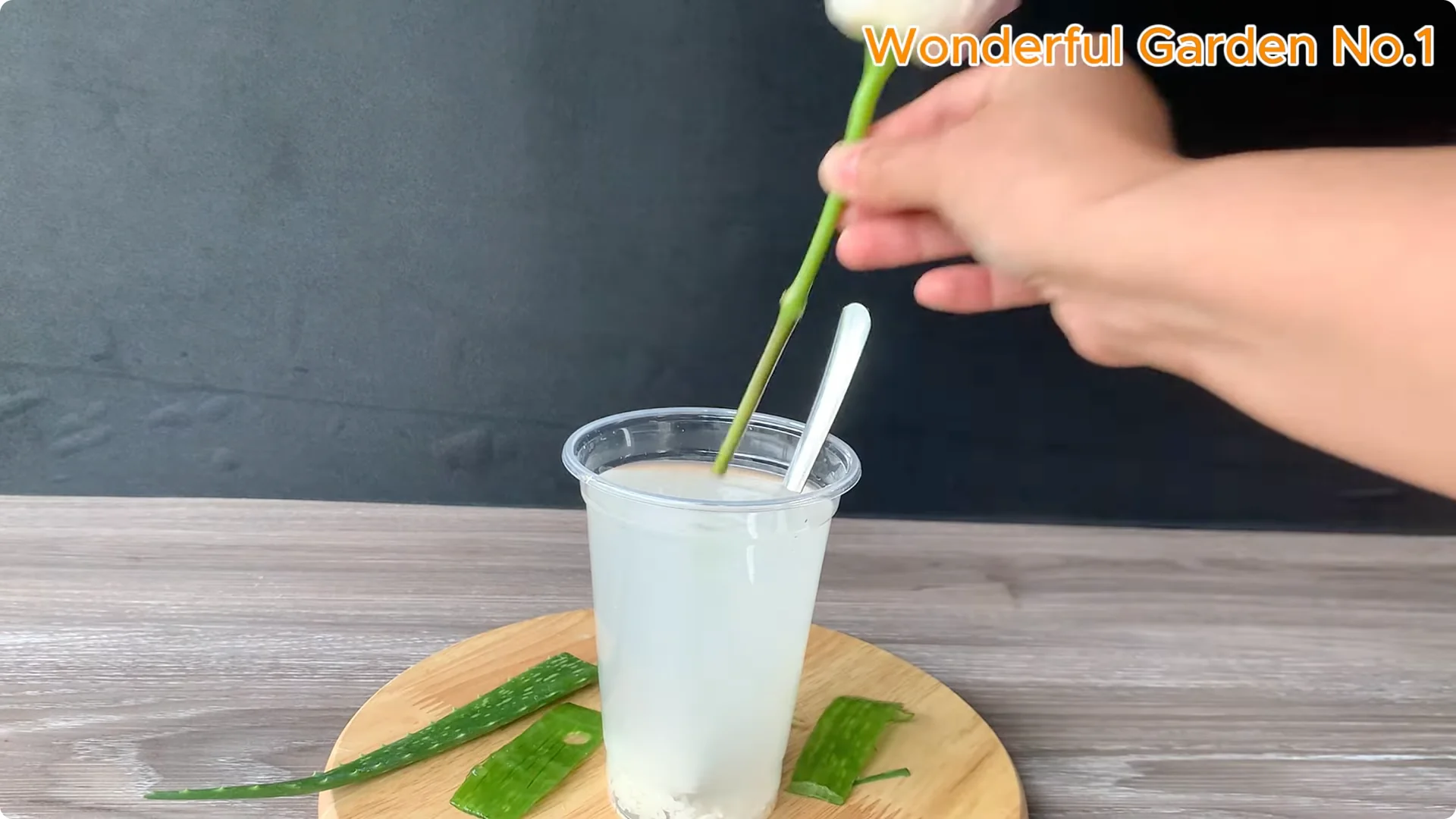 How to Propagate Roses at Home with Simple Steps screenshot 7