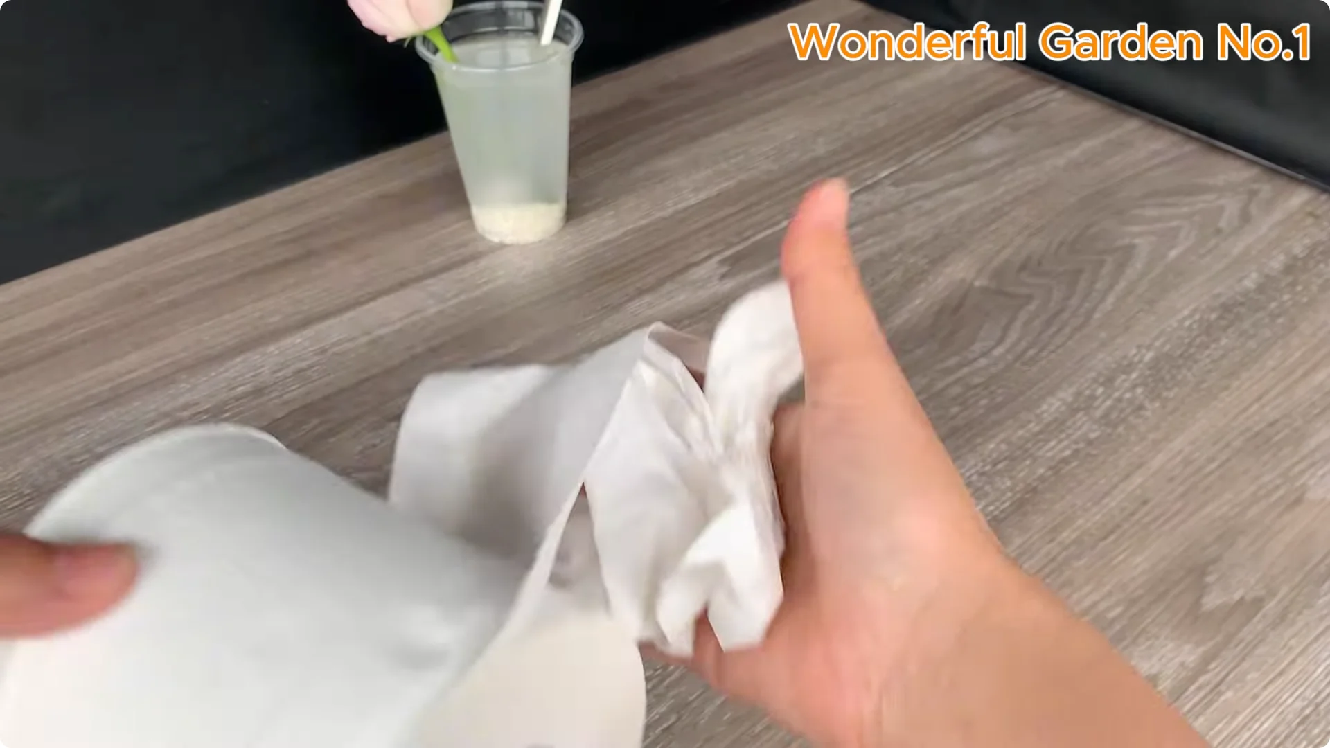 How to Propagate Roses at Home with Simple Steps screenshot 9