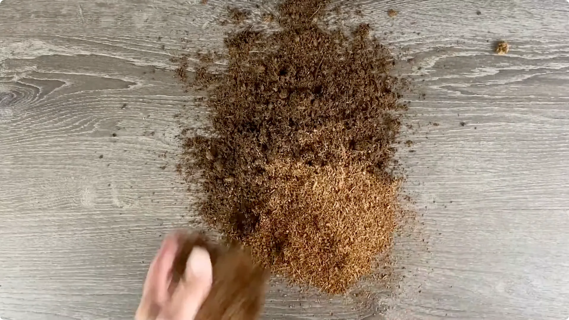 The Easiest Way to Propagate Snake Plants Explained screenshot 5