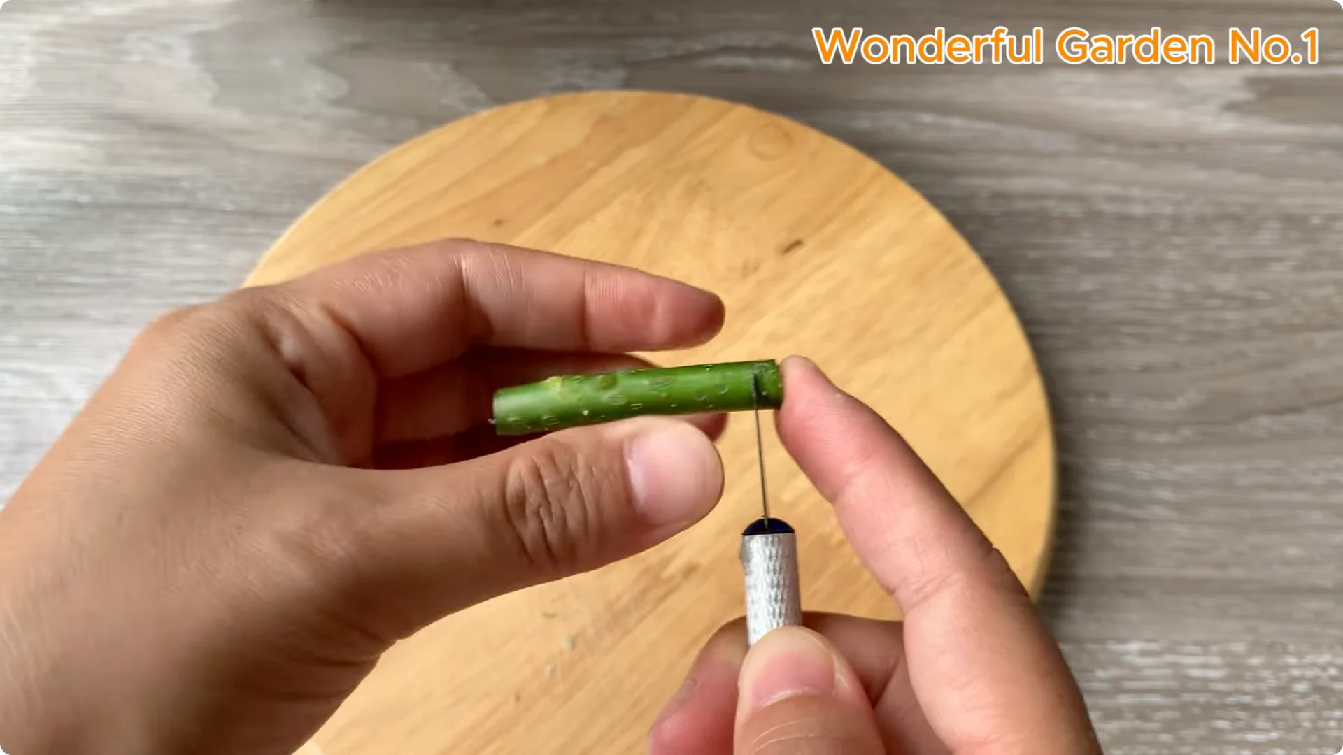 The Simple Trick to Speed Up Rooting Rose Branches screenshot 2