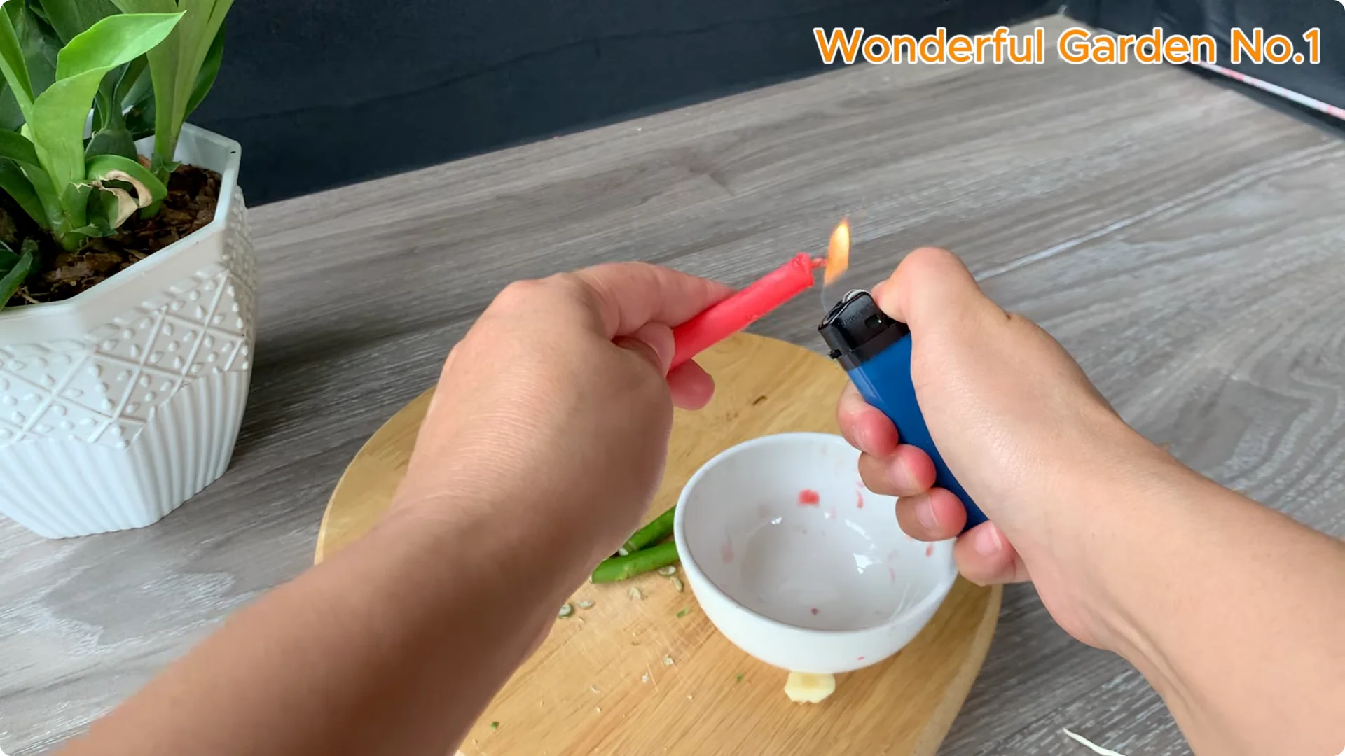 The Simple Trick to Speed Up Rooting Rose Branches screenshot 4