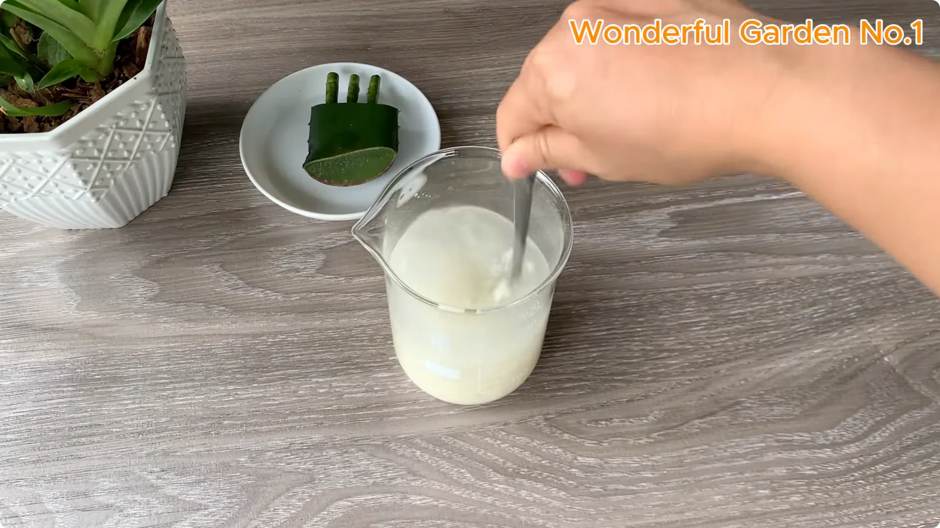 The Simple Trick to Speed Up Rooting Rose Branches screenshot 7