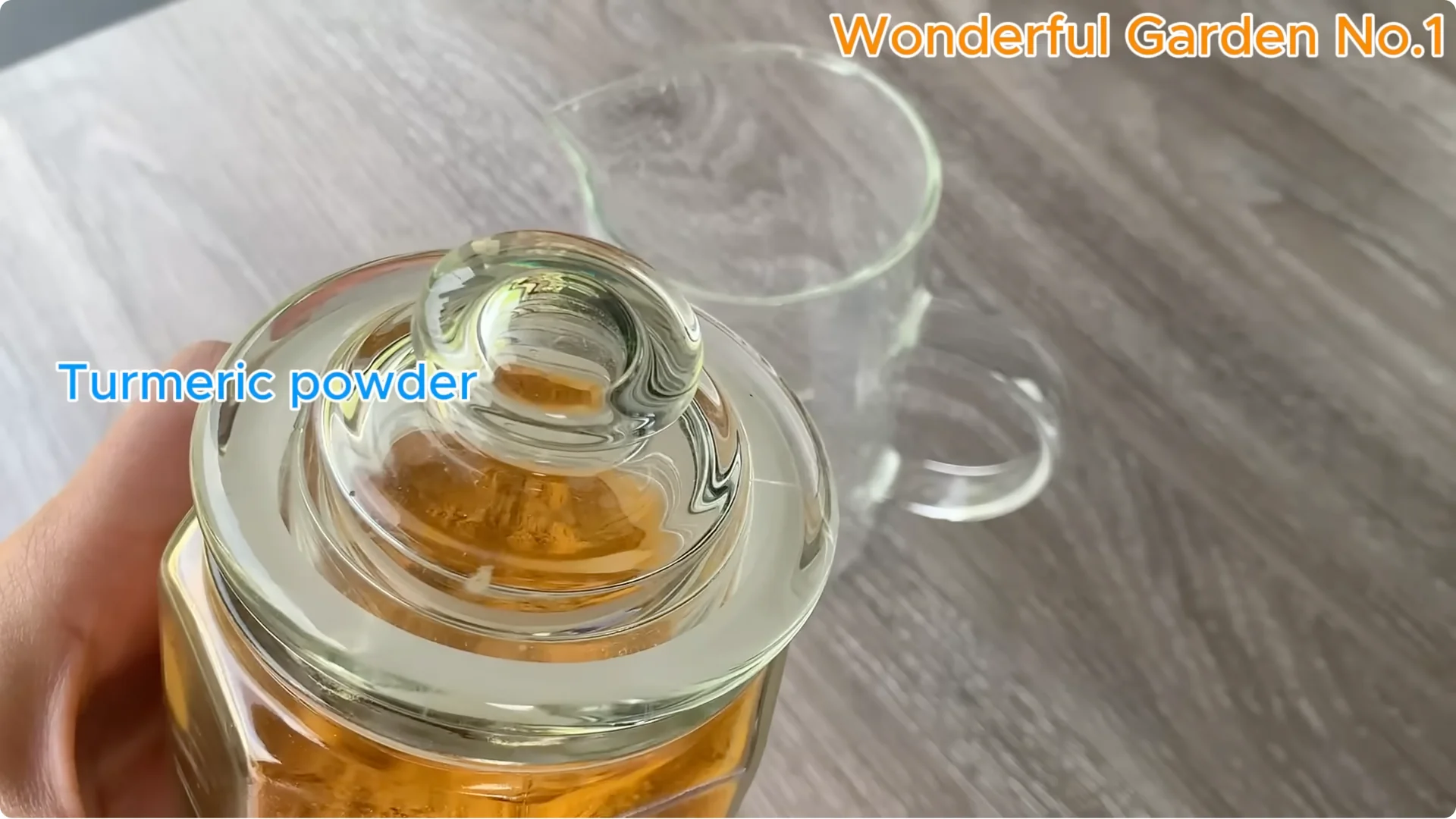 The Surprising Spoon Trick That Boosts Rose Cutting Roots screenshot 3