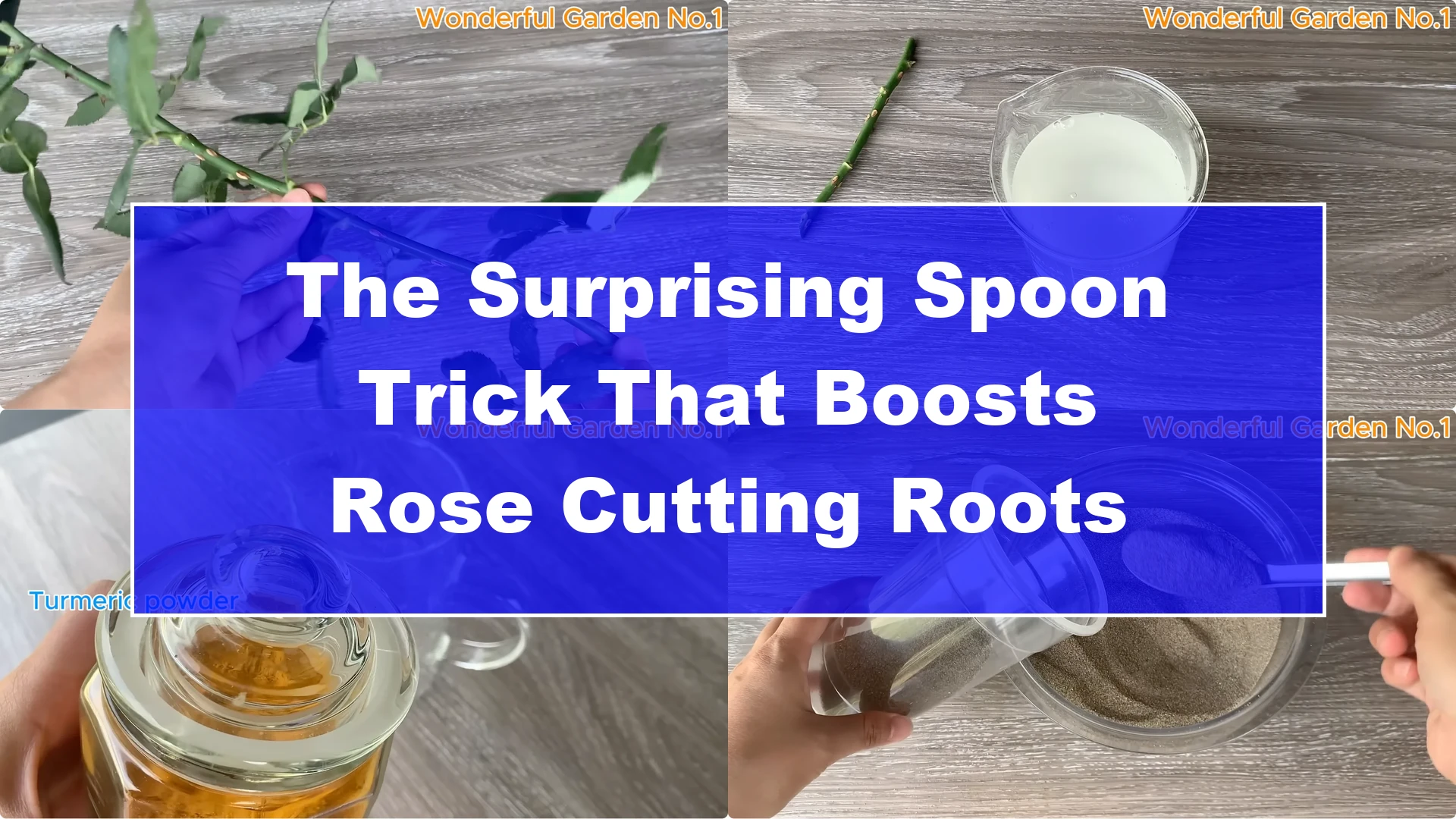 The Surprising Spoon Trick That Boosts Rose Cutting Roots - Featured Image