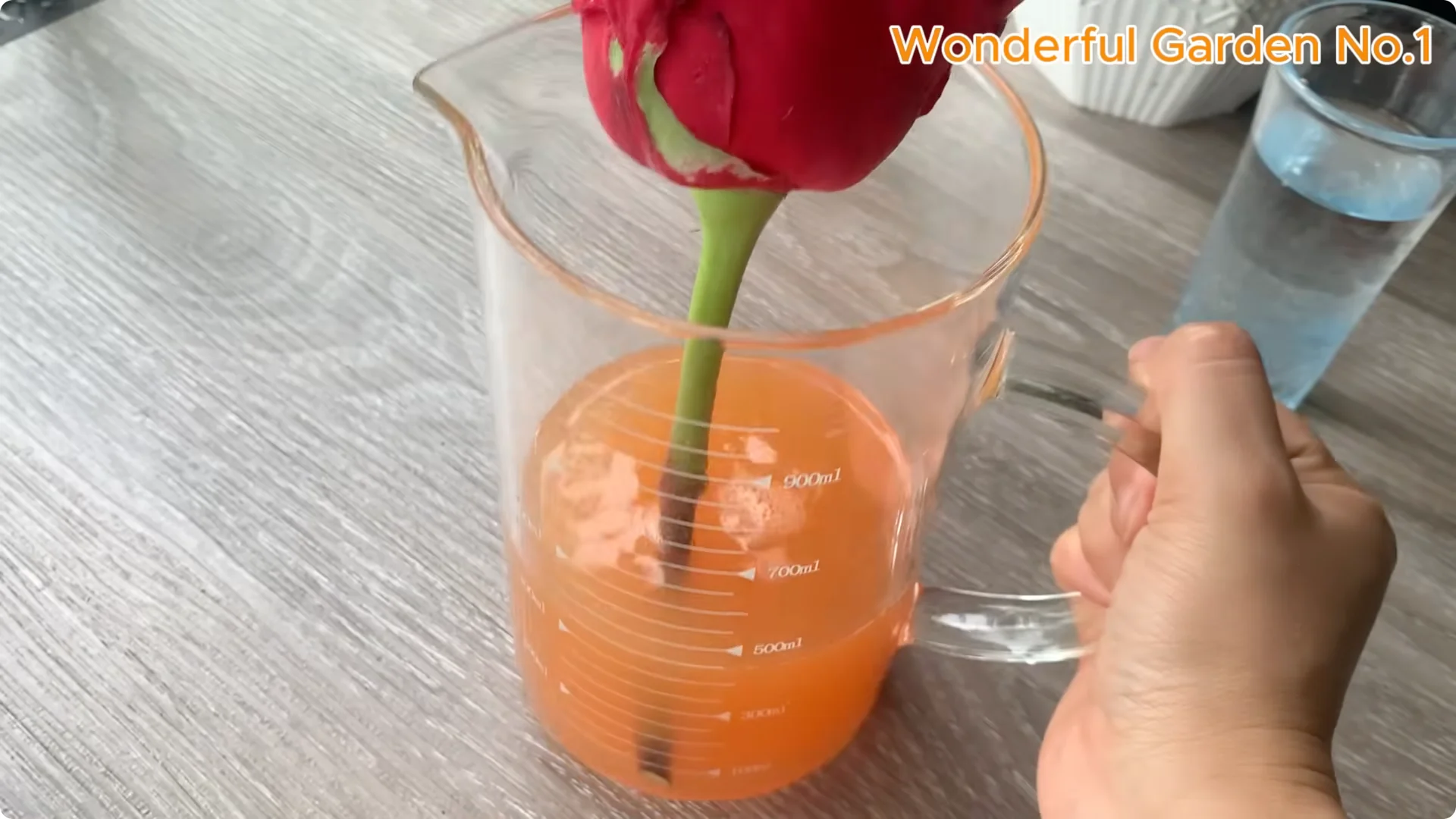 What Happens When You Insert a Rose Branch into a Carrot? screenshot 10