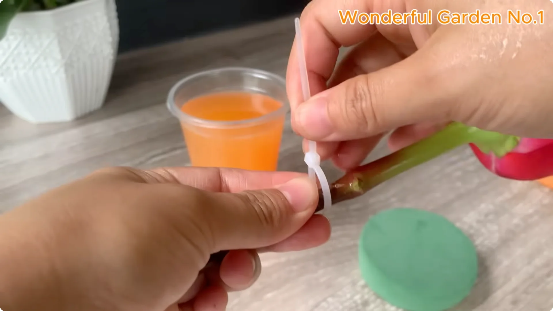 What Happens When You Insert a Rose Branch into a Carrot? screenshot 13