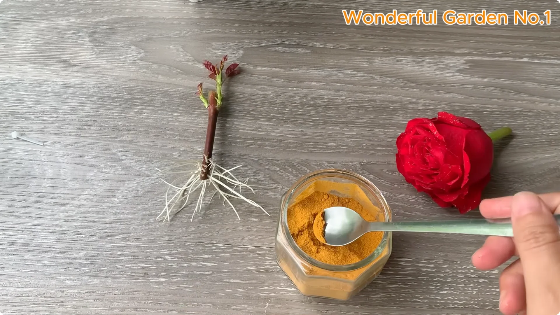 What Happens When You Insert a Rose Branch into a Carrot? screenshot 16