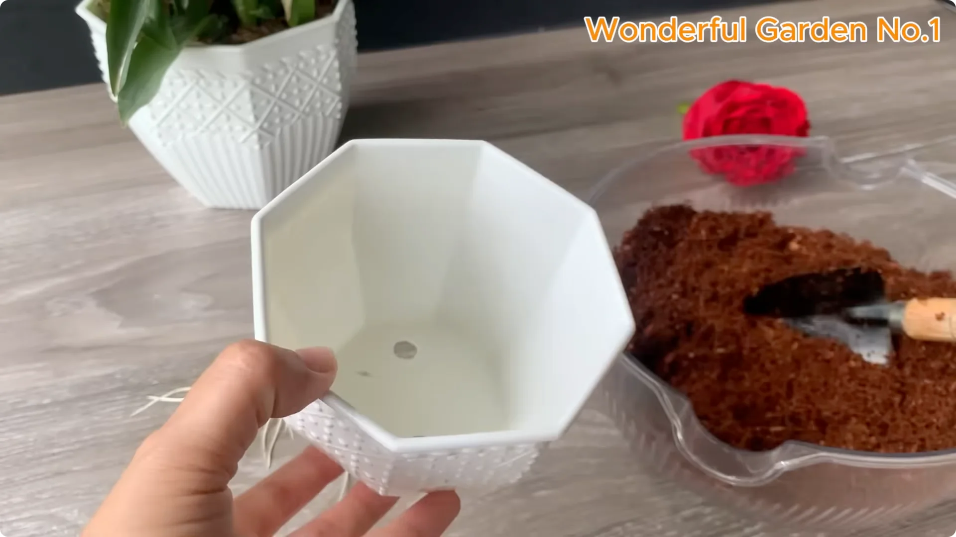 What Happens When You Insert a Rose Branch into a Carrot? screenshot 17