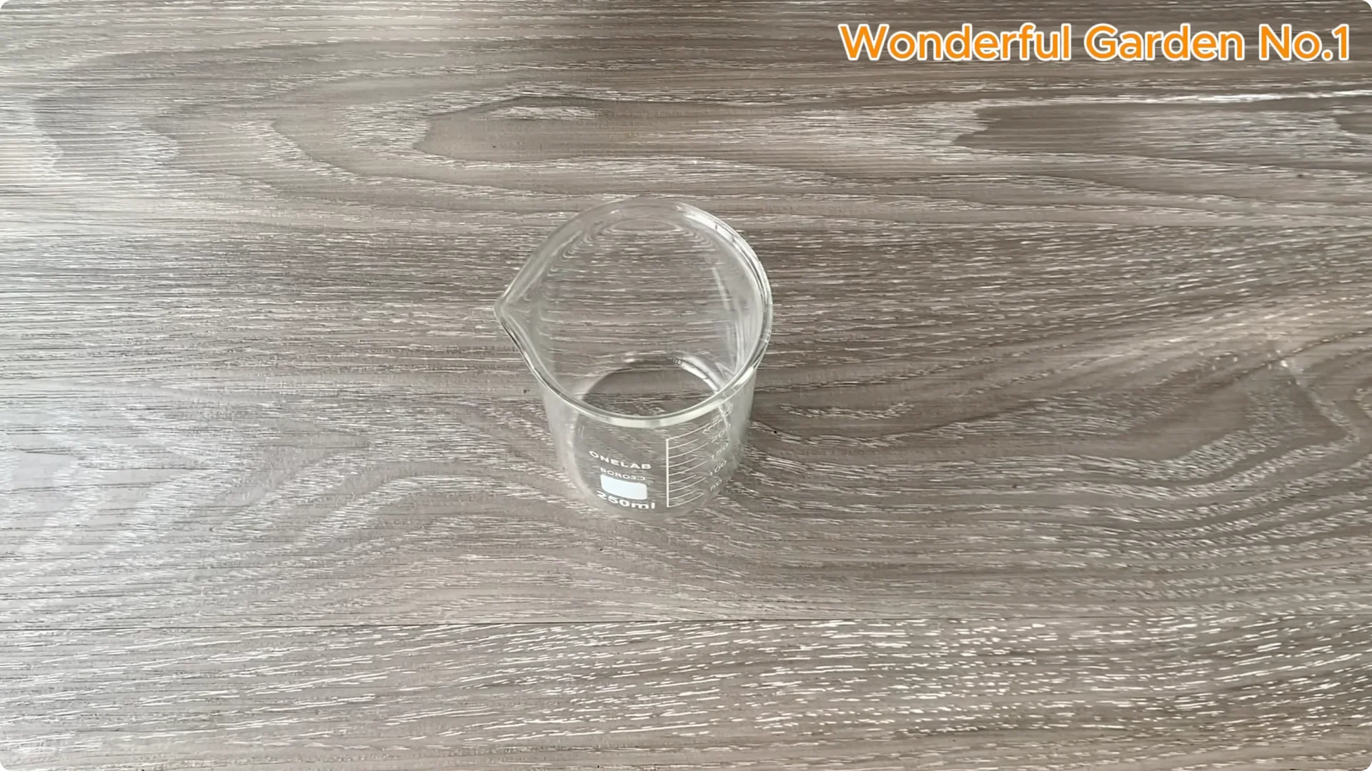 What Happens When You Insert a Rose Branch into a Carrot? screenshot 4