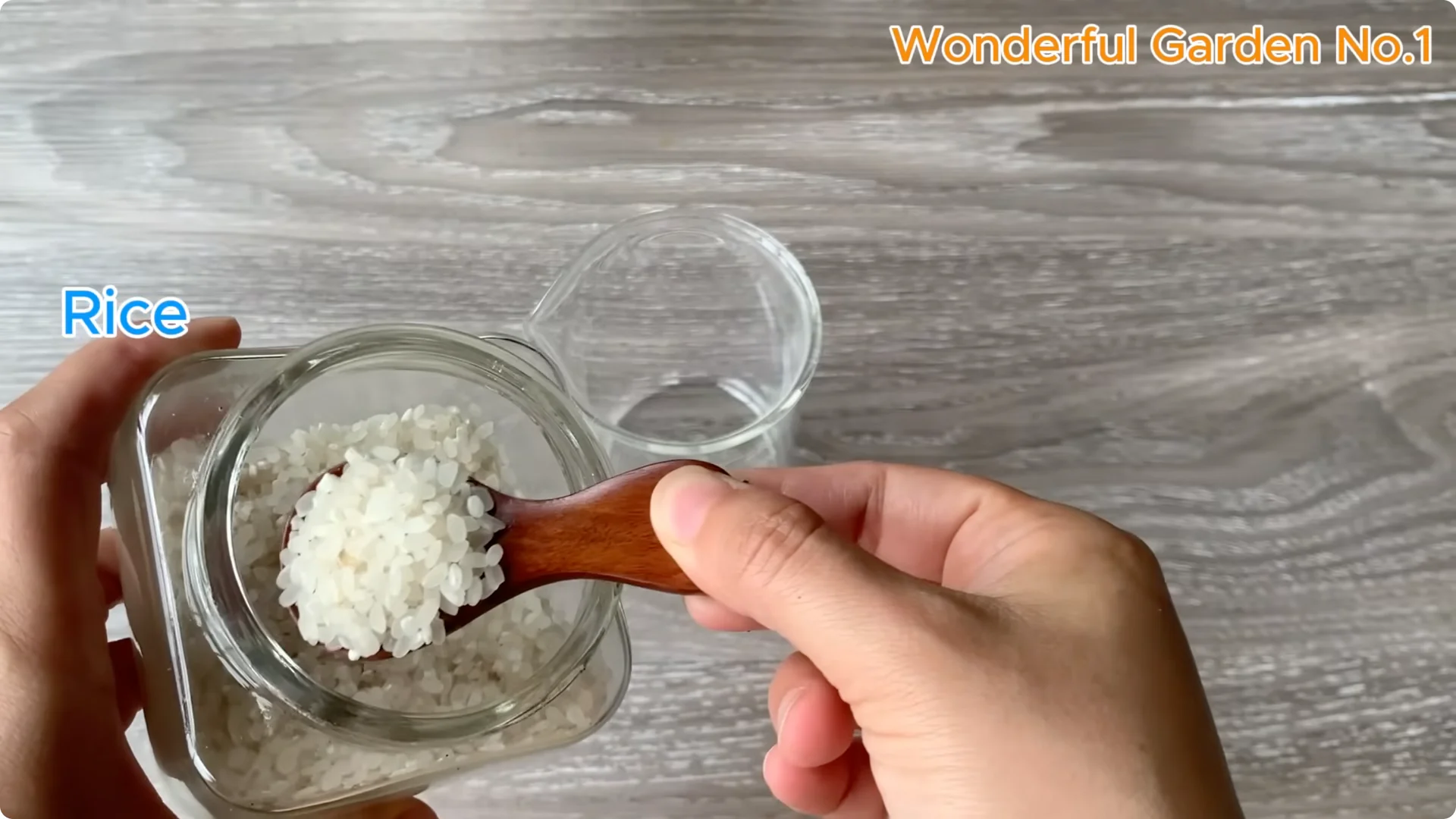 What Happens When You Insert a Rose Branch into a Carrot? screenshot 5