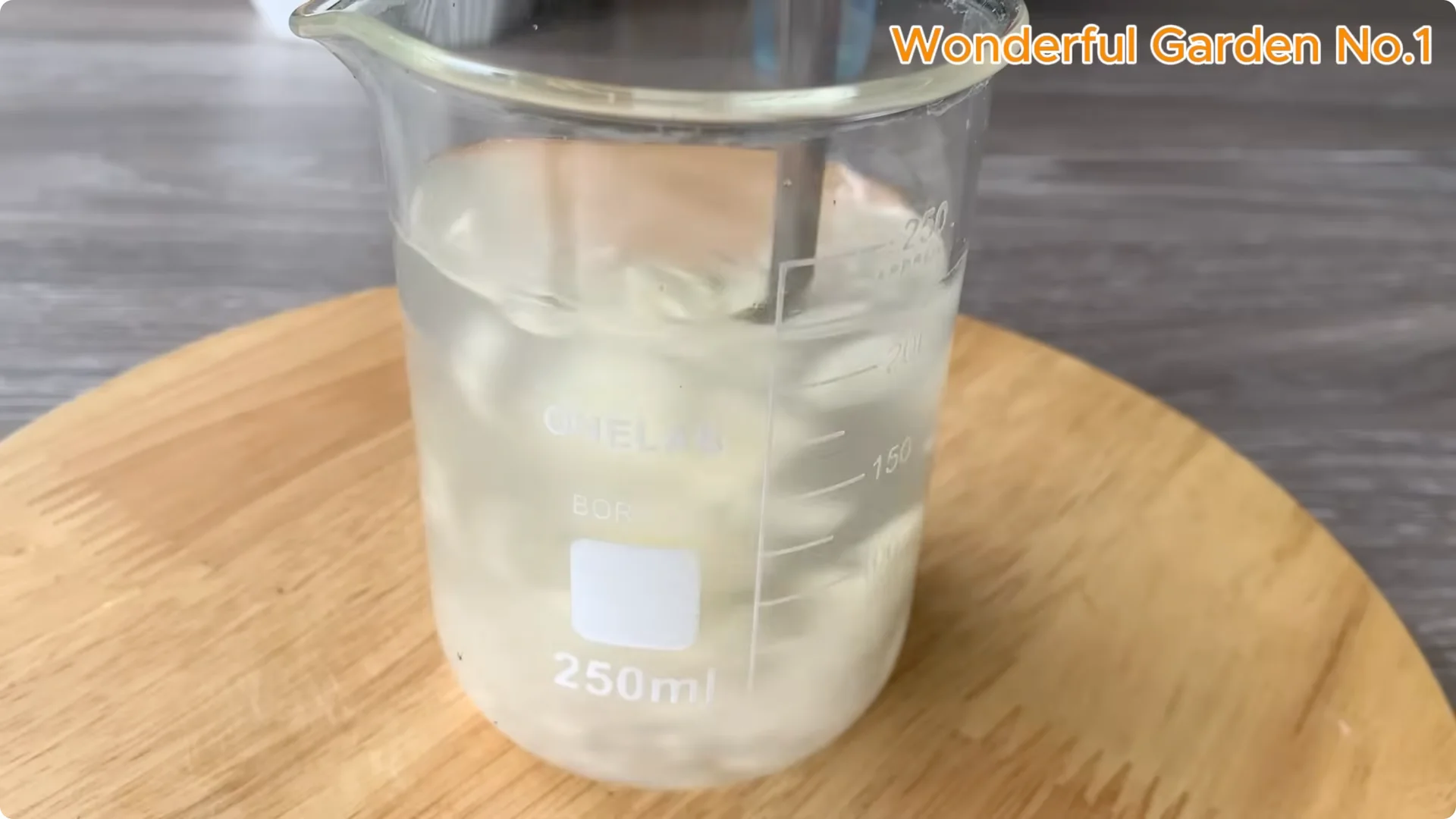 What Happens When You Insert a Rose Branch into a Carrot? screenshot 6