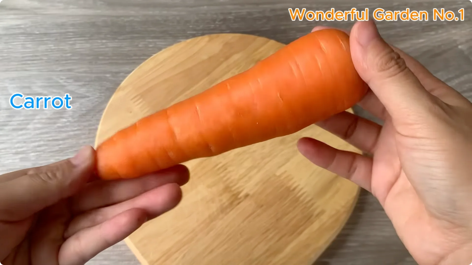 What Happens When You Insert a Rose Branch into a Carrot? screenshot 7