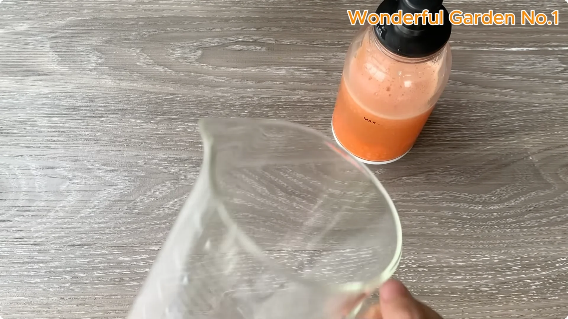 What Happens When You Insert a Rose Branch into a Carrot? screenshot 9