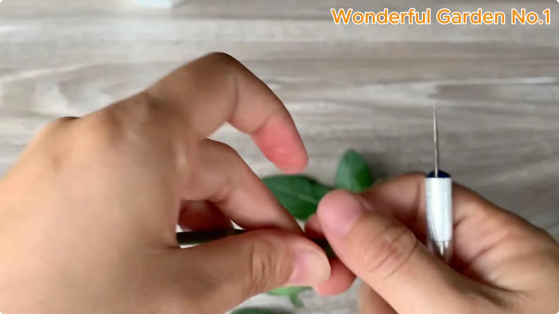 What Happens When You Insert a Rose Branch Into an Aloe Leaf? screenshot 2