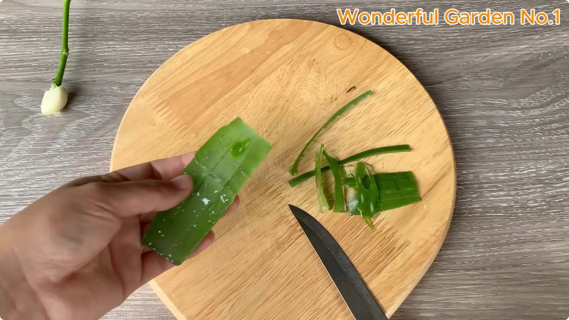 What Happens When You Insert a Rose Branch Into an Aloe Leaf? screenshot 4