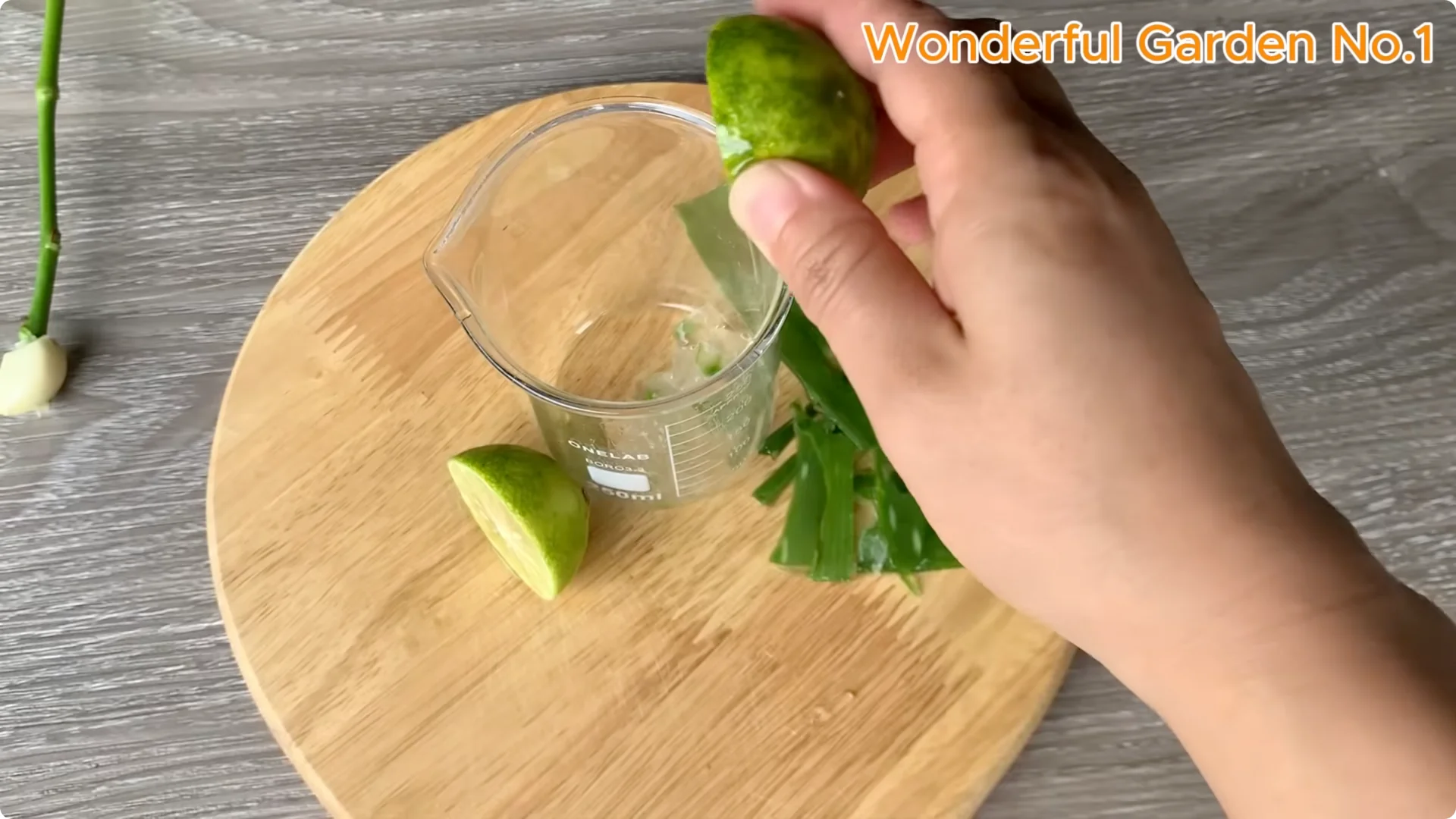 What Happens When You Insert a Rose Branch Into an Aloe Leaf? screenshot 5