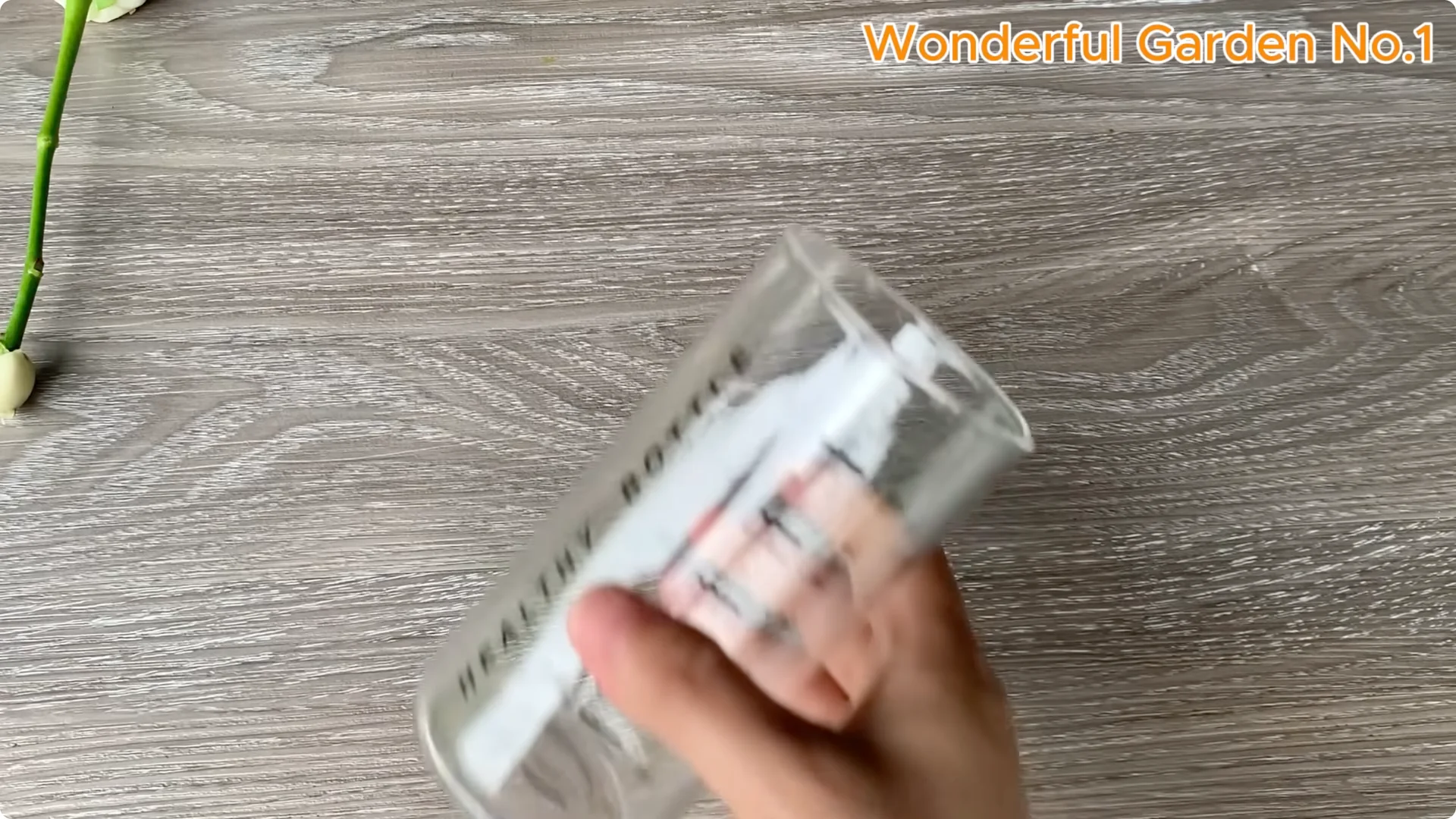 What Happens When You Insert a Rose Branch Into an Aloe Leaf? screenshot 6