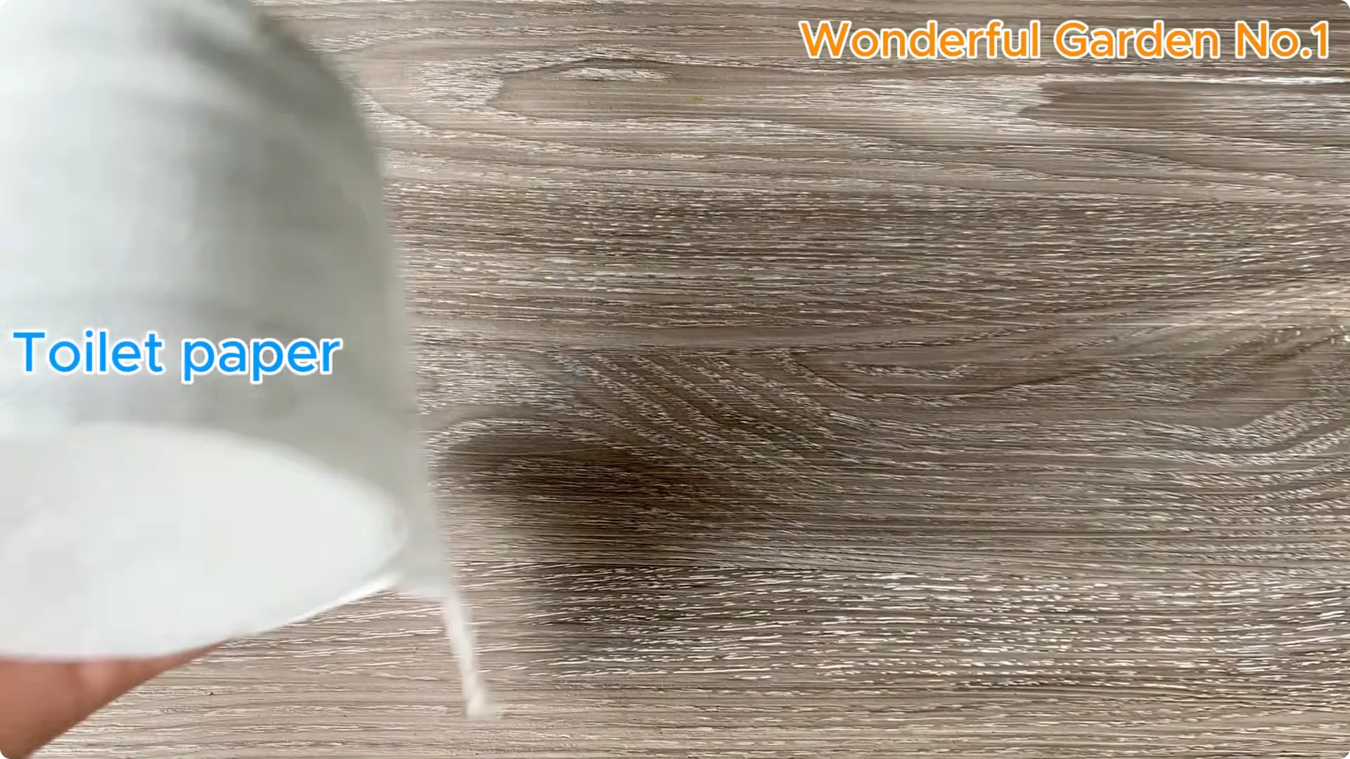 What Happens When You Insert a Rose Branch Into an Aloe Leaf? screenshot 8