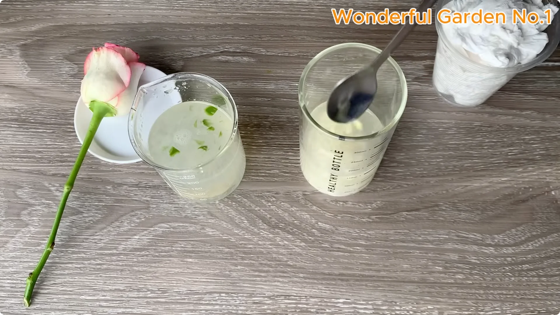 What Happens When You Insert a Rose Branch Into an Aloe Leaf? screenshot 9