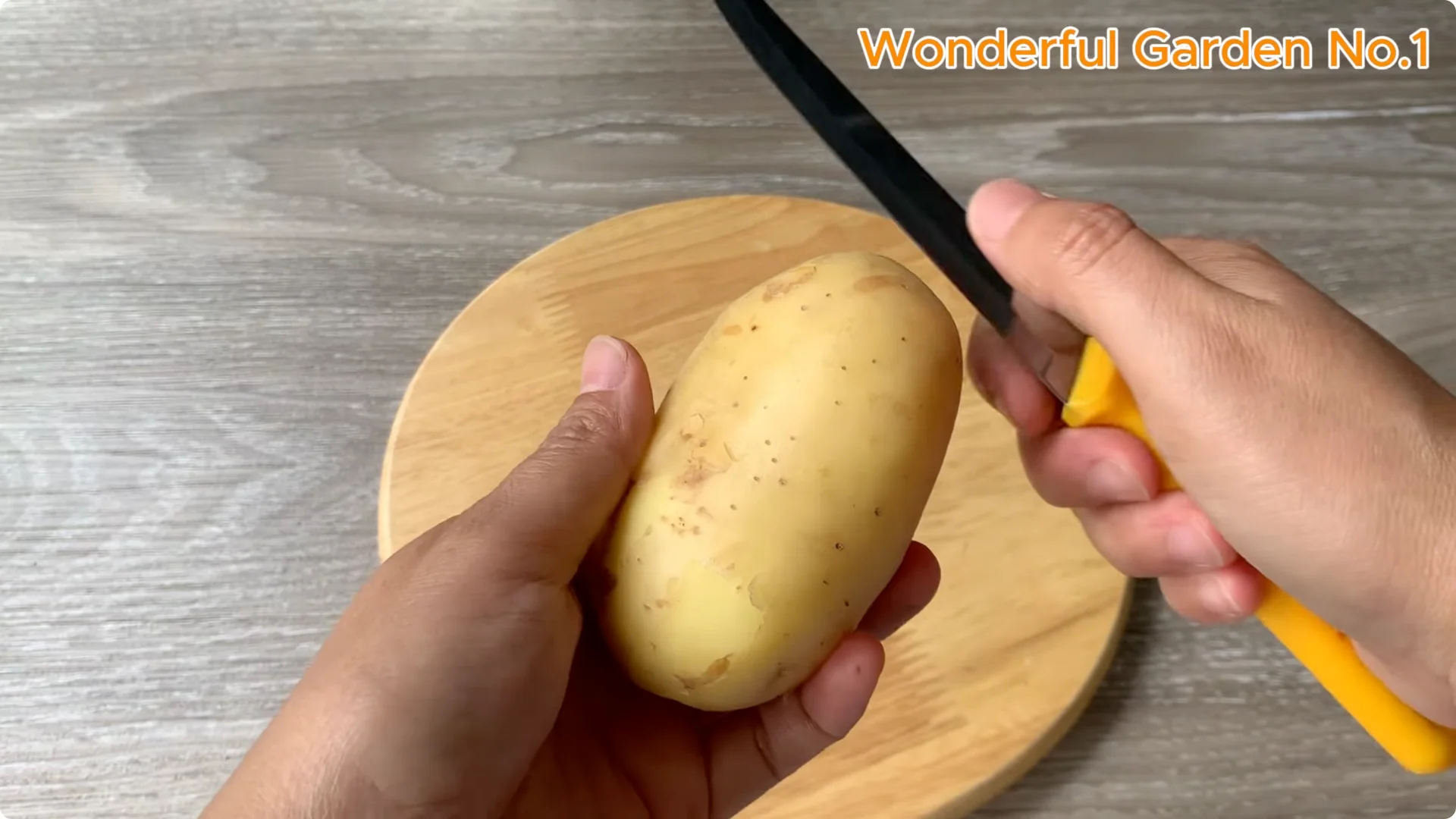 What Happens When You Soak a Rose Stem Overnight? screenshot 1