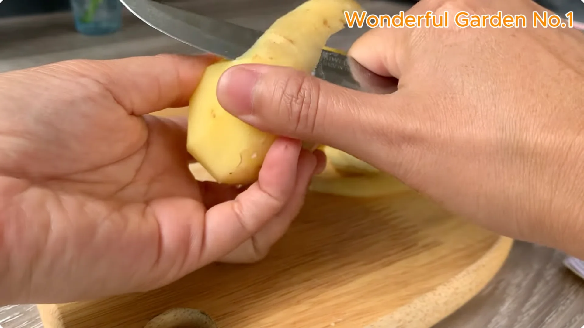 What Happens When You Soak a Rose Stem Overnight? screenshot 2