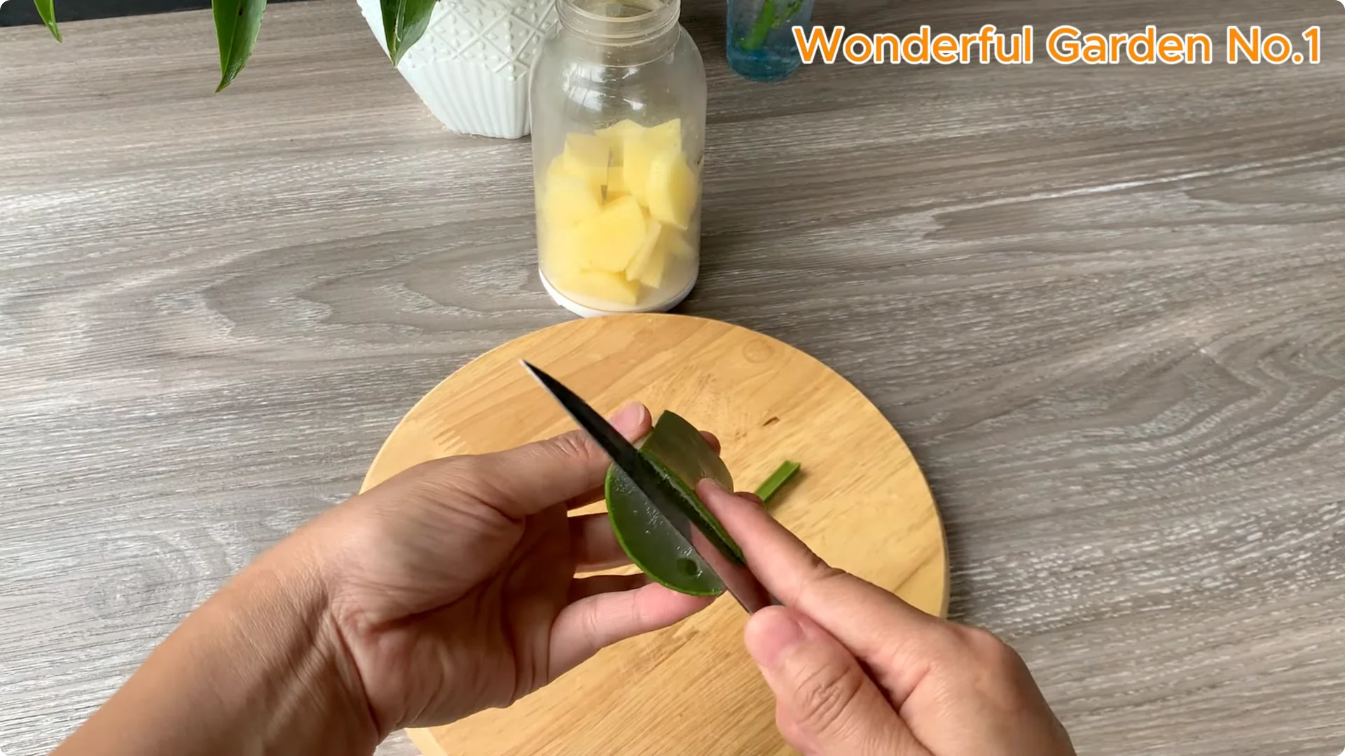 What Happens When You Soak a Rose Stem Overnight? screenshot 3