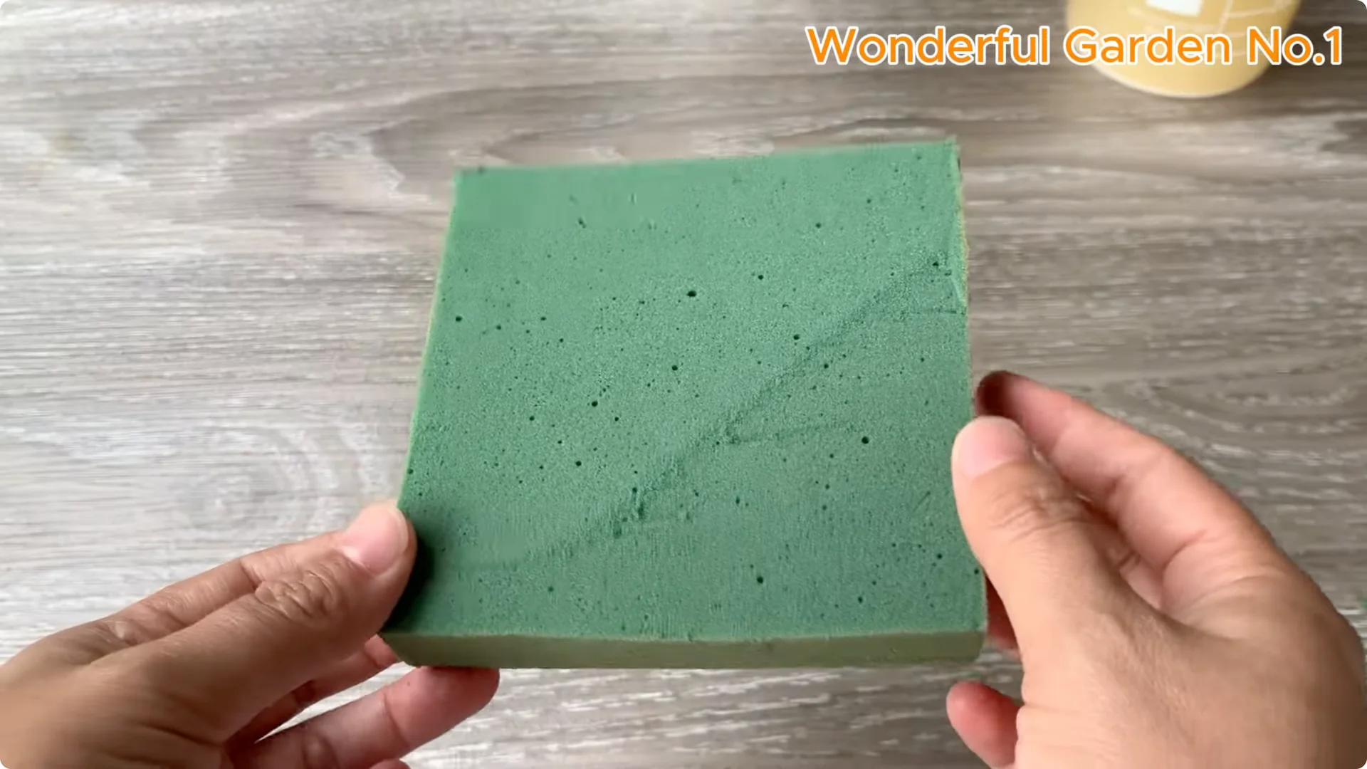 What Happens When You Soak a Rose Stem Overnight? screenshot 6