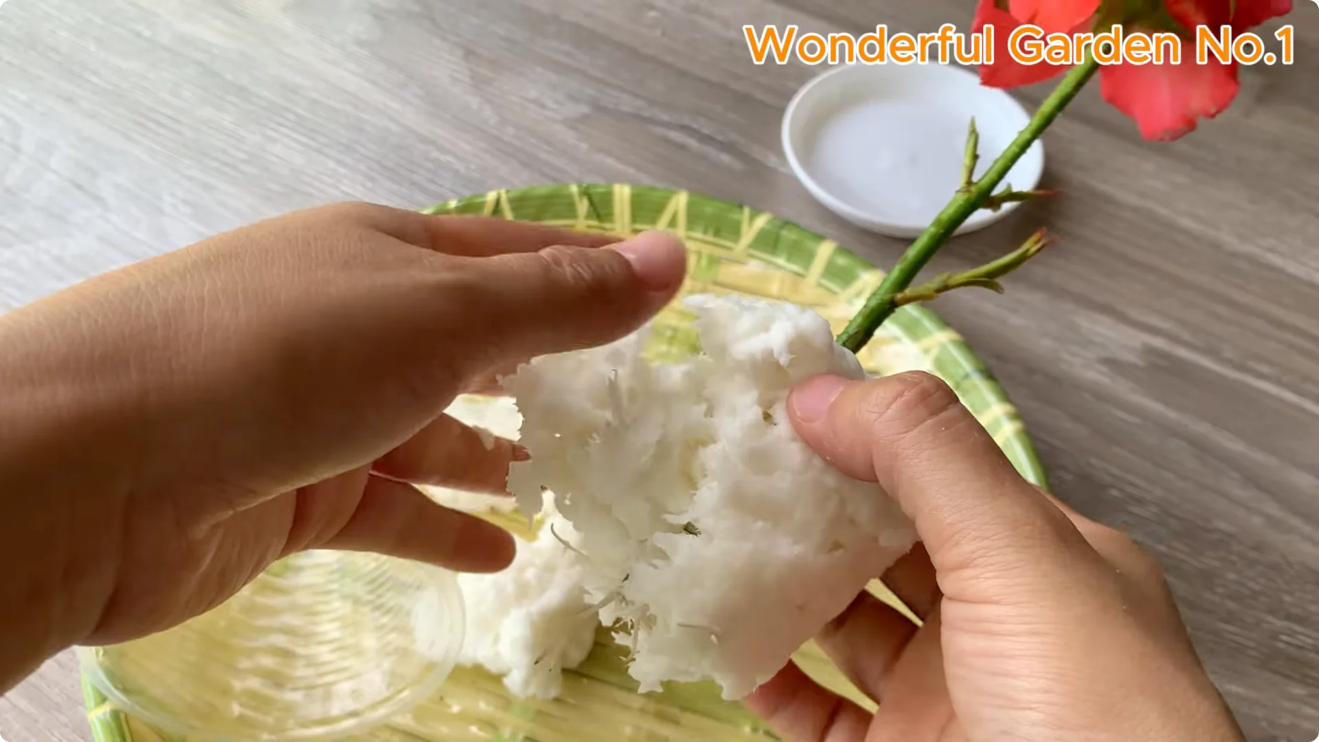 What Happens When You Stick a Rose in a Potato Overnight? screenshot 5