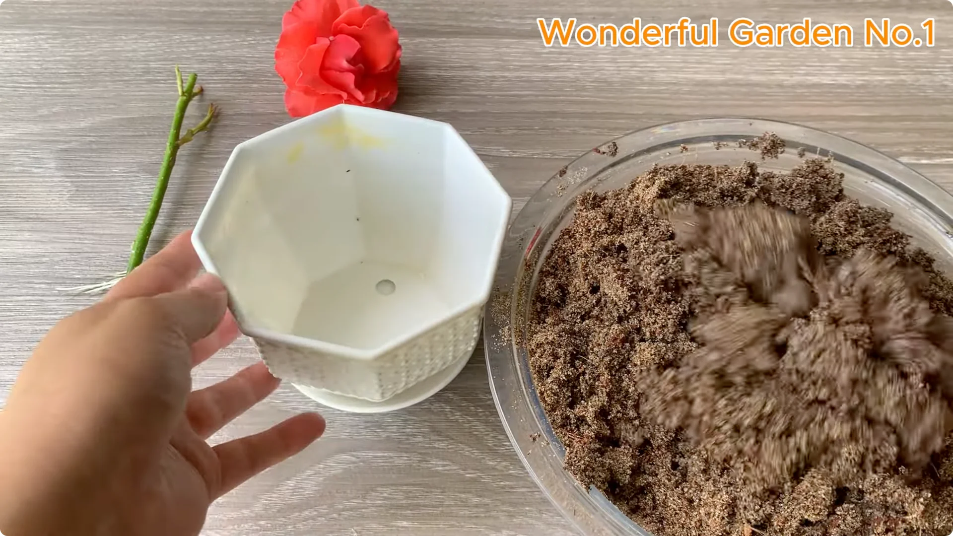 What Happens When You Stick a Rose in a Potato Overnight? screenshot 6