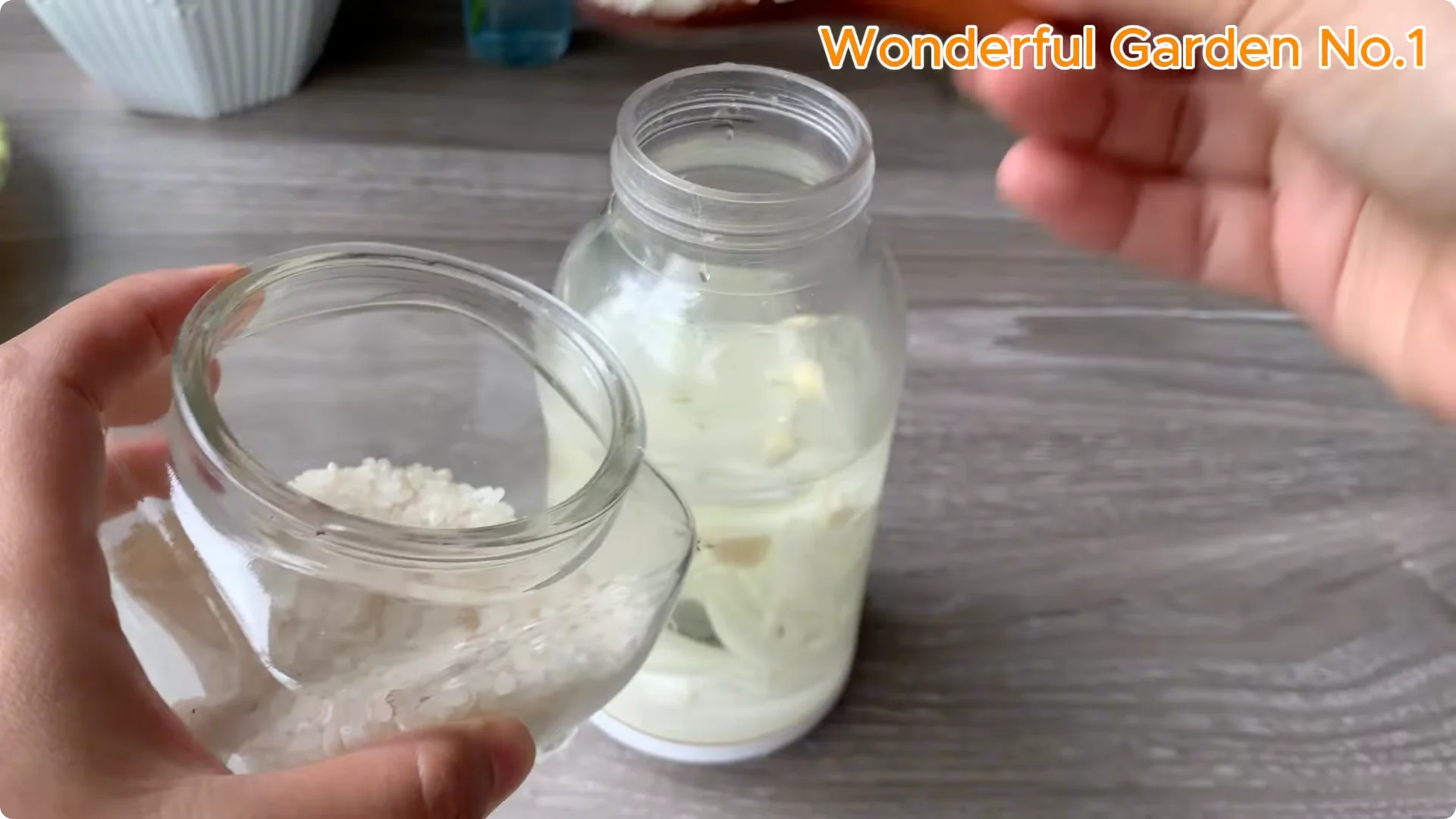 What Happens When You Stick a Rose Stem in an Onion? screenshot 15