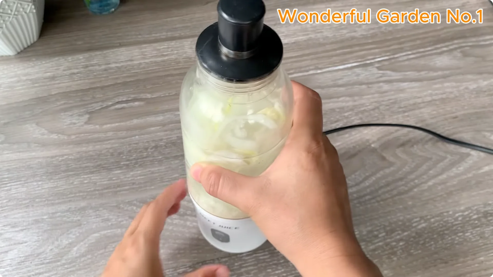 What Happens When You Stick a Rose Stem in an Onion? screenshot 17