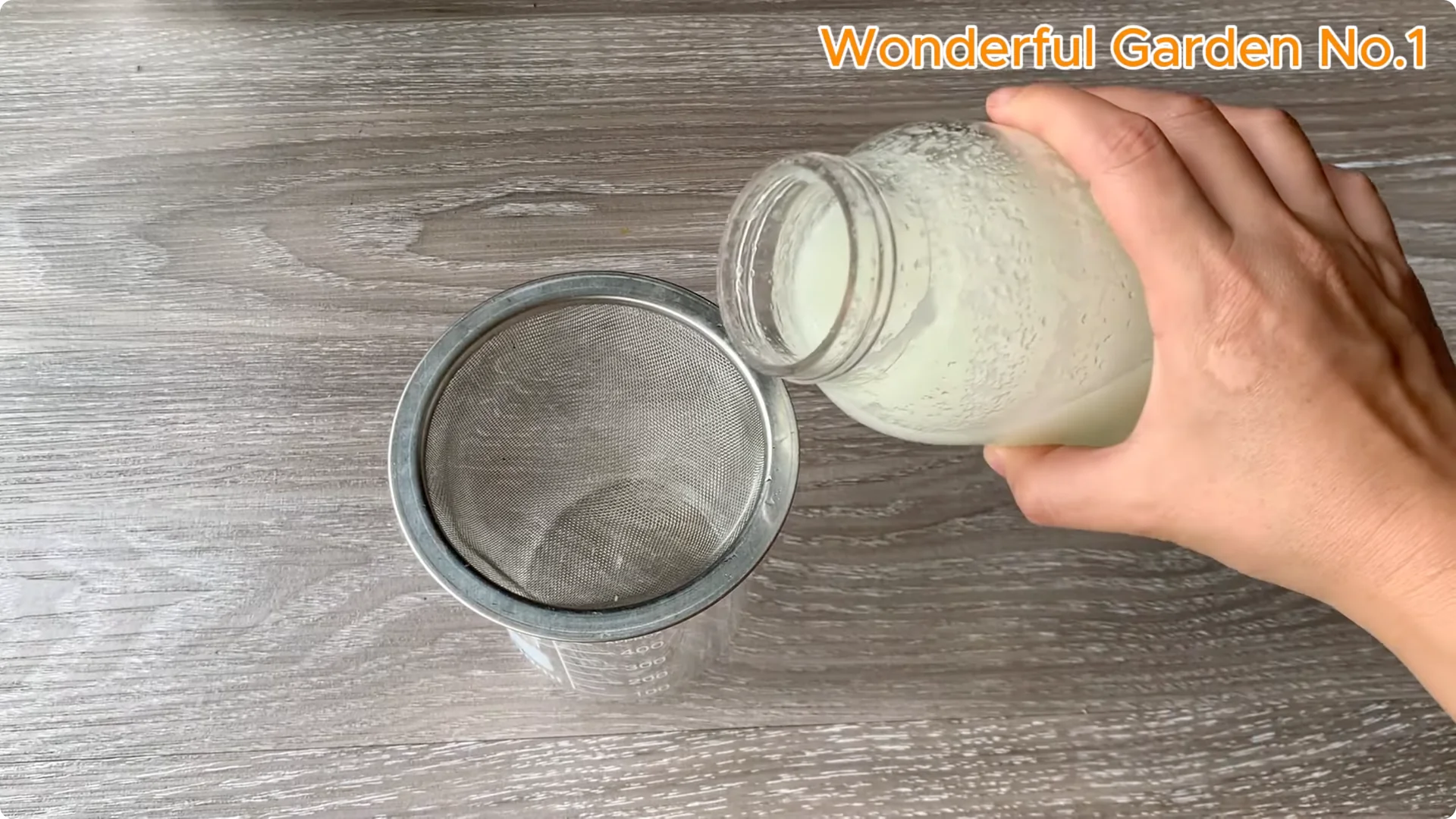 What Happens When You Stick a Rose Stem in an Onion? screenshot 18